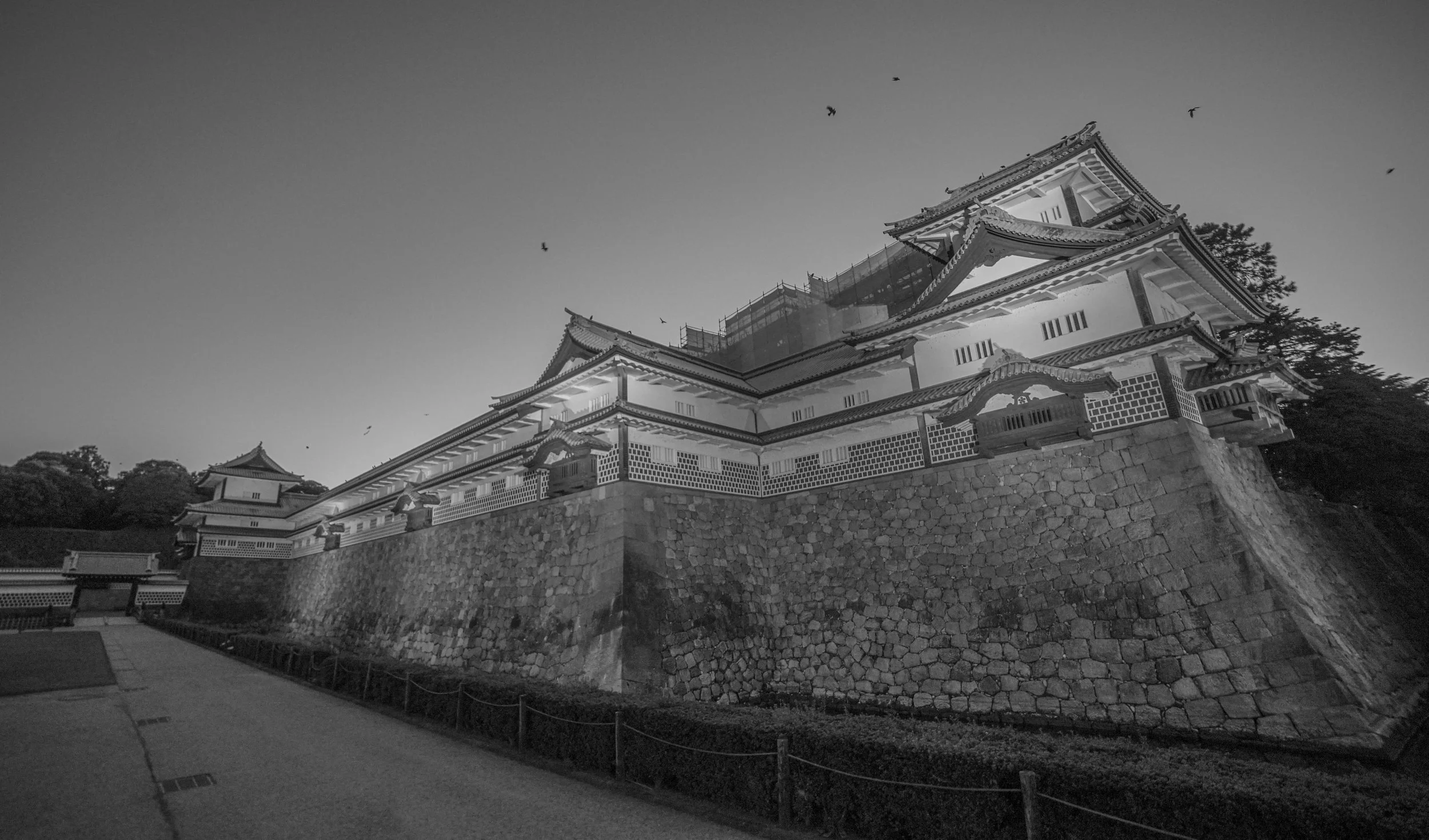 DSC08603.jpg