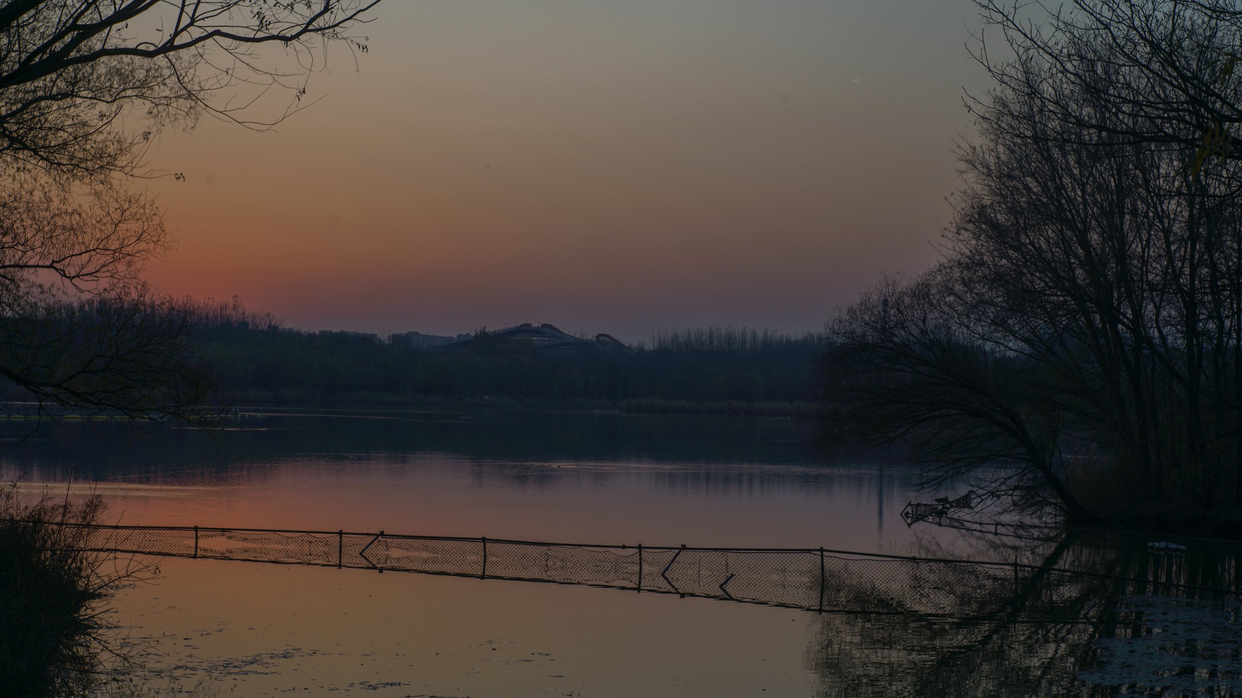 DSC09507.jpg