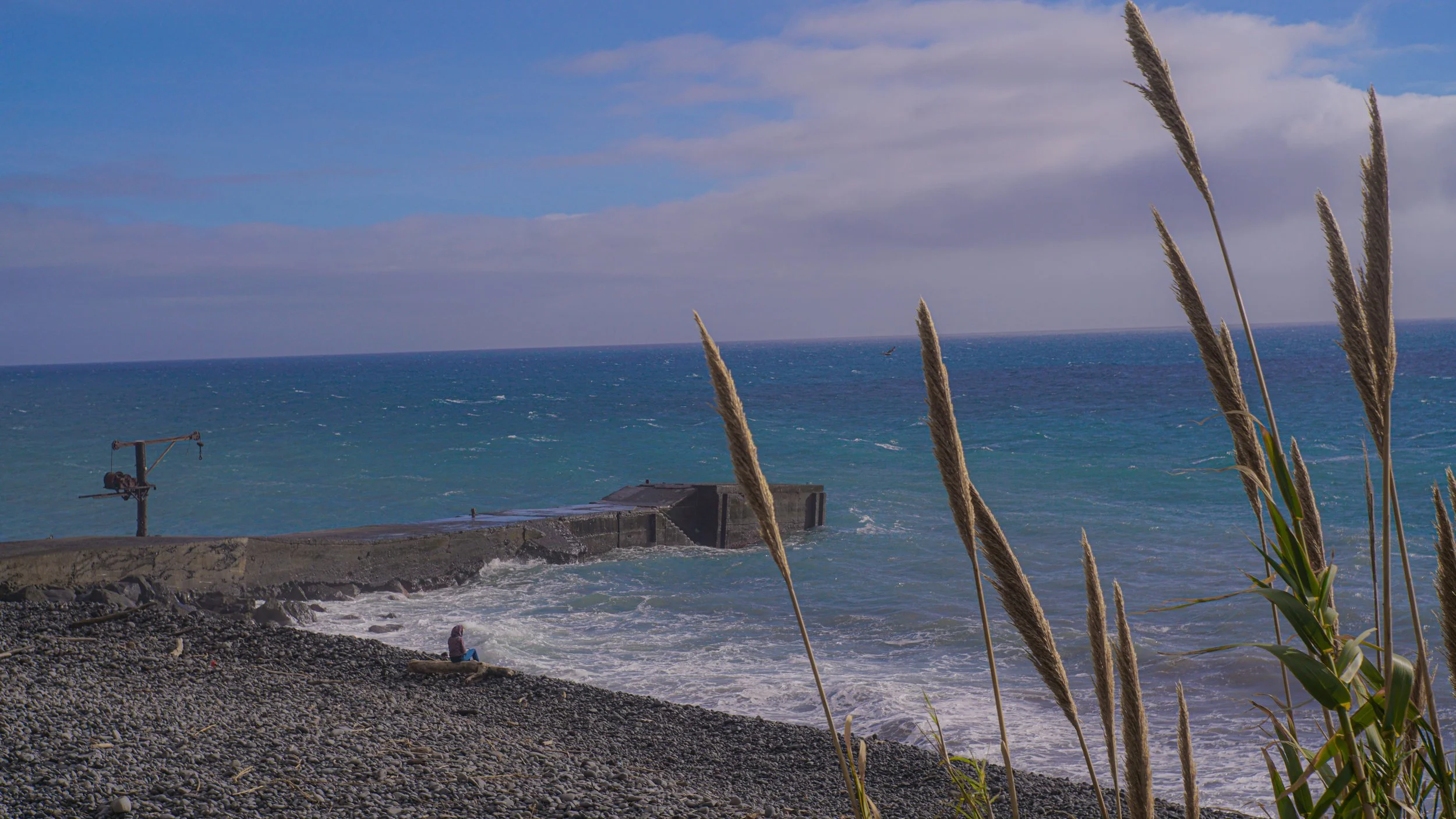 DSC09676.jpg