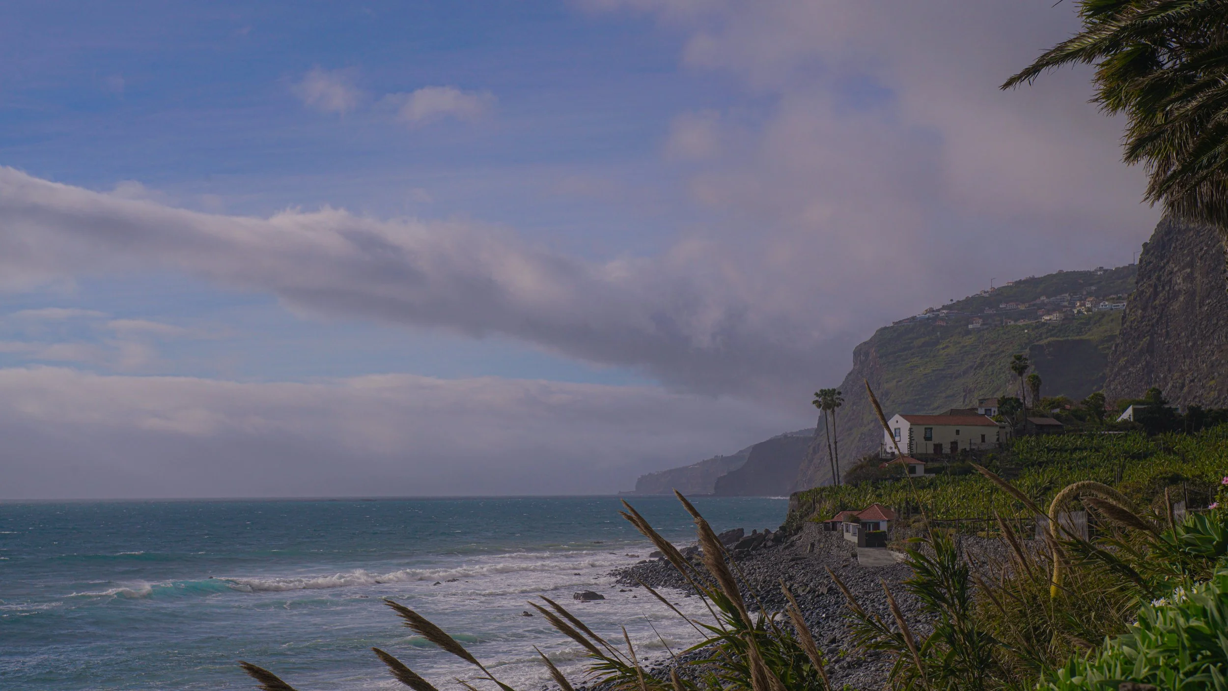 DSC09679.jpg