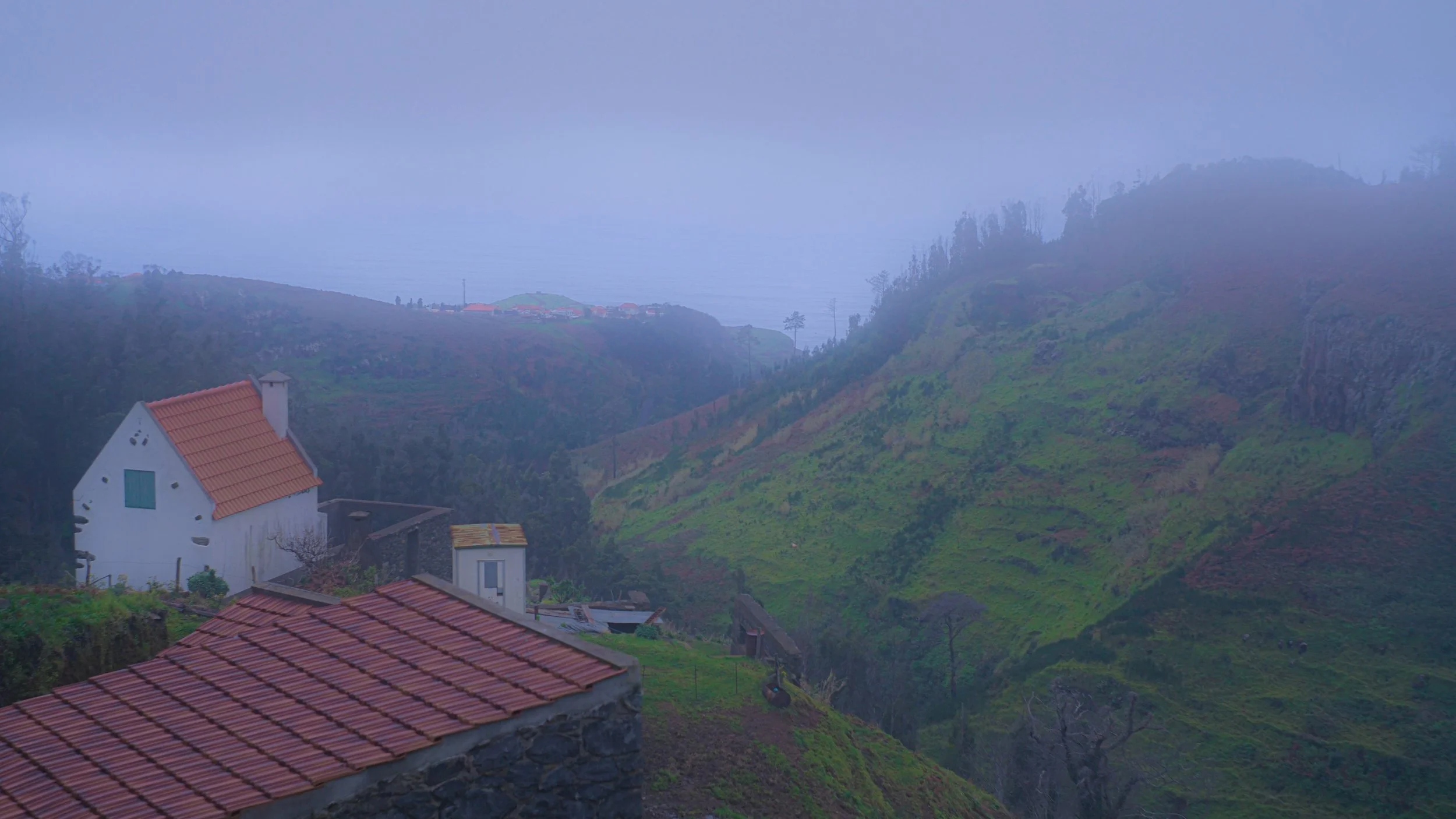 DSC09695.jpg