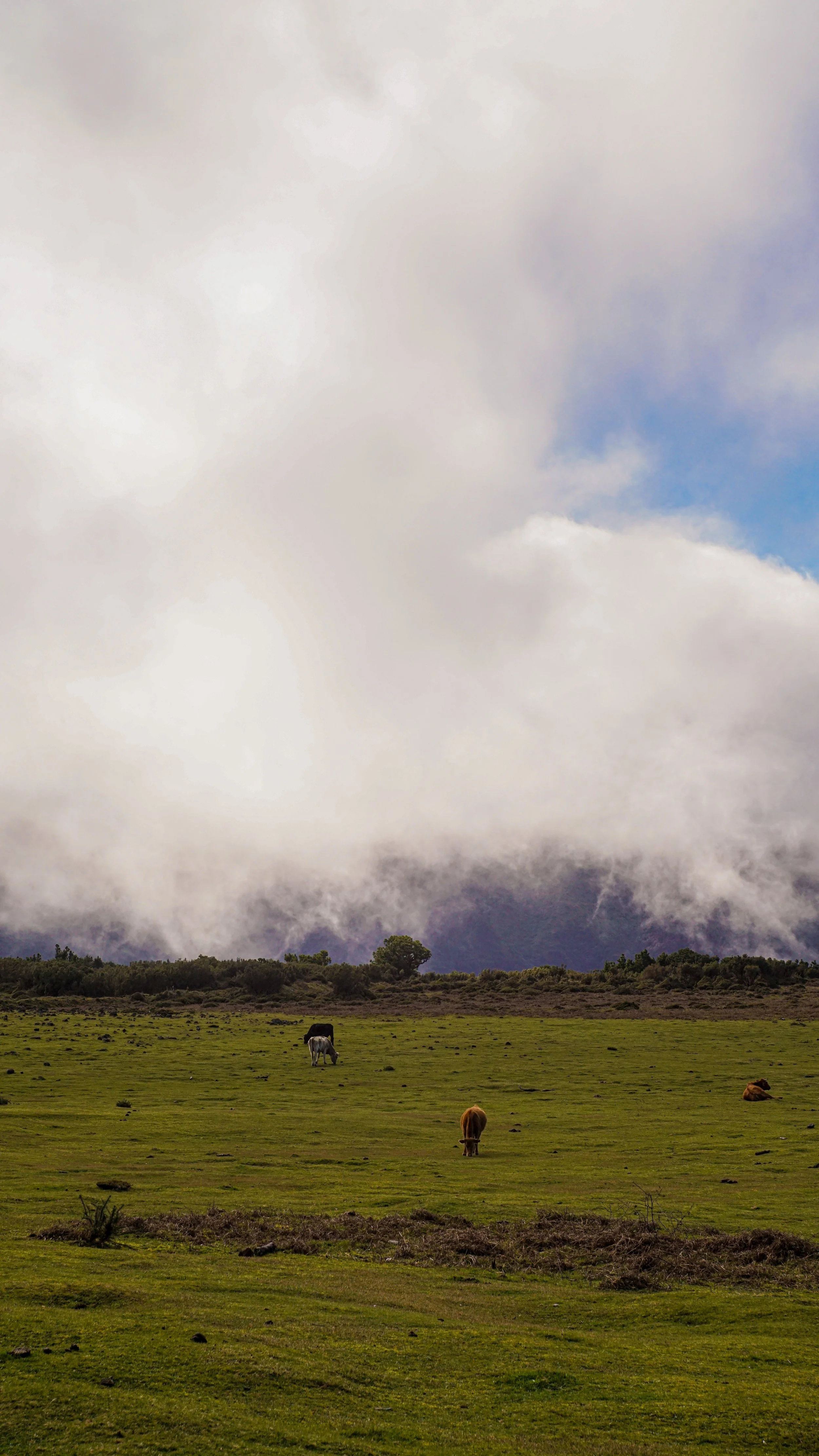 DSC09707.jpg