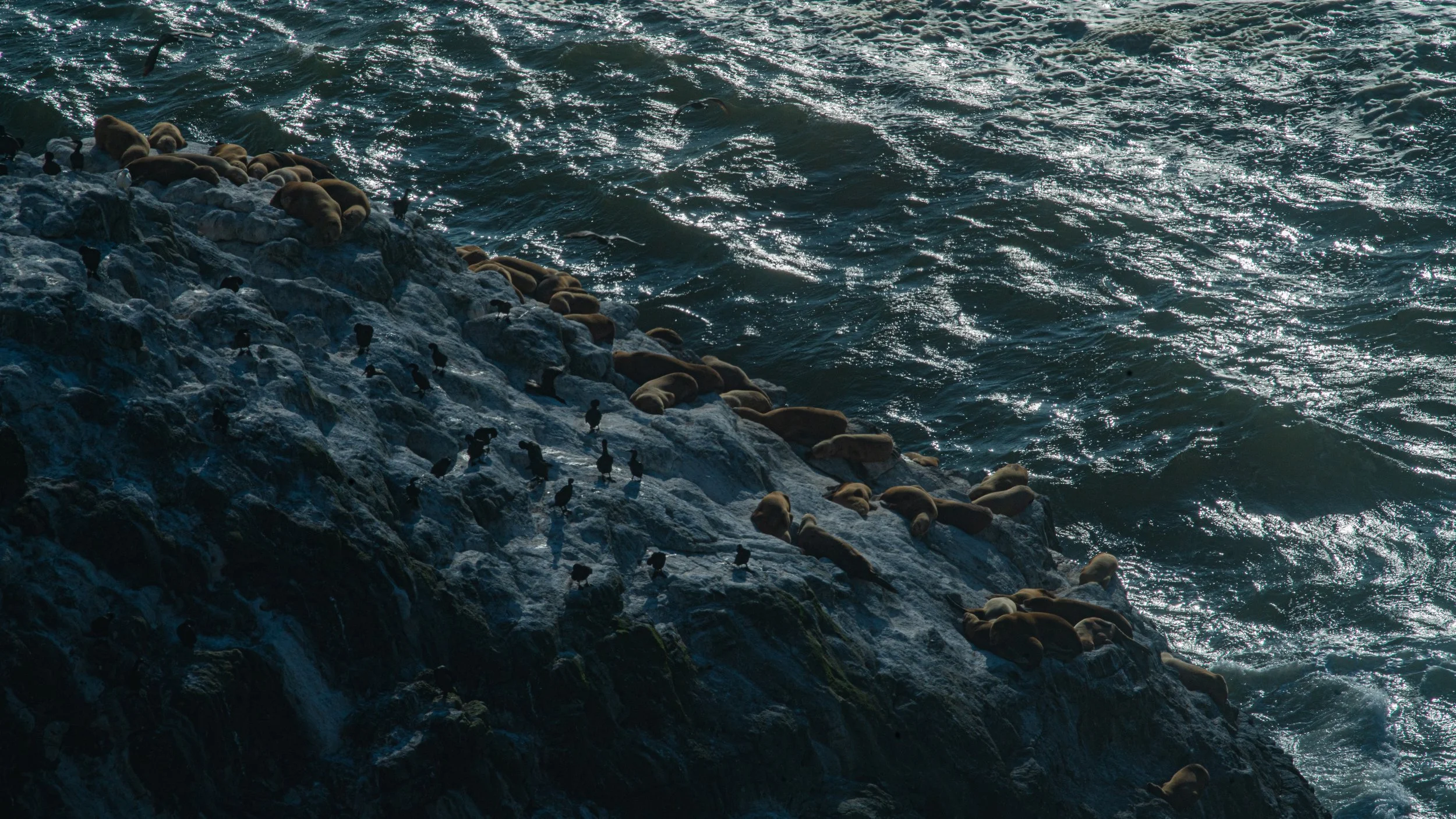 chillin by the water.jpg