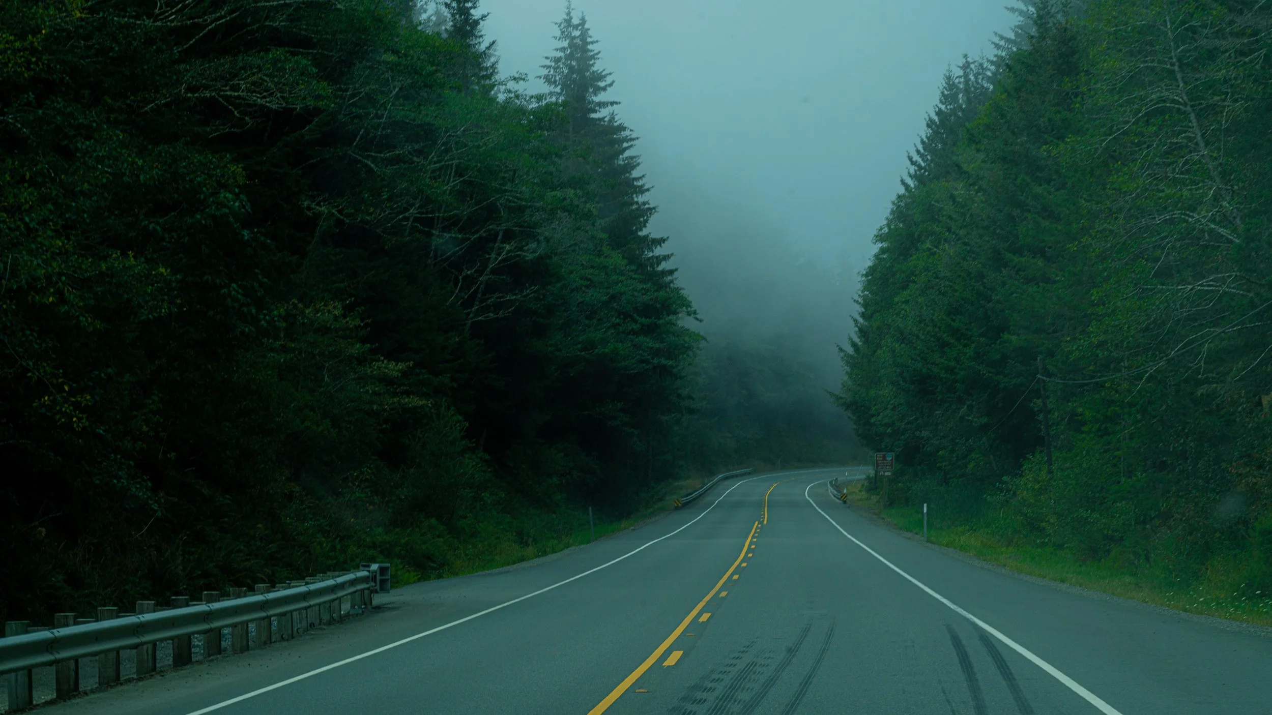 fog with backtracks.jpg