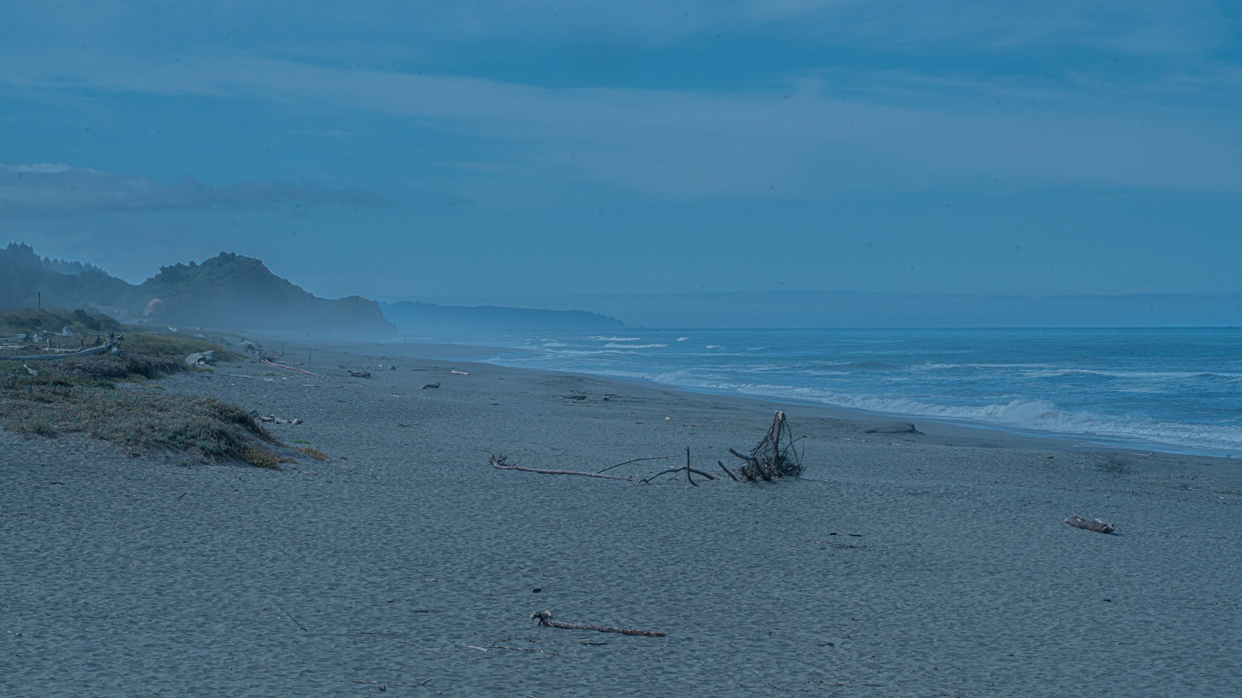 cold beach orgeon.jpg