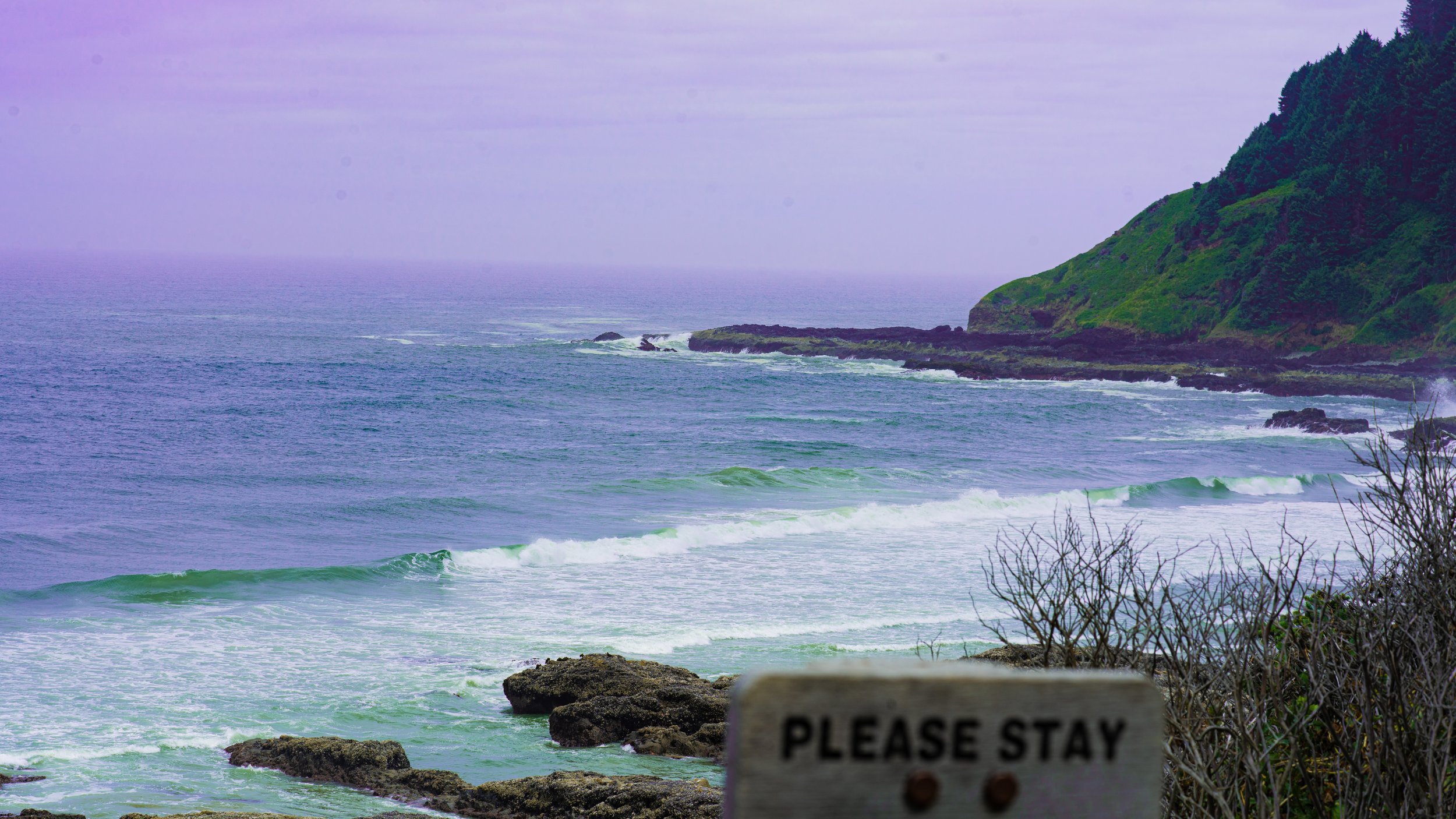 vaporwave coast 1.jpg