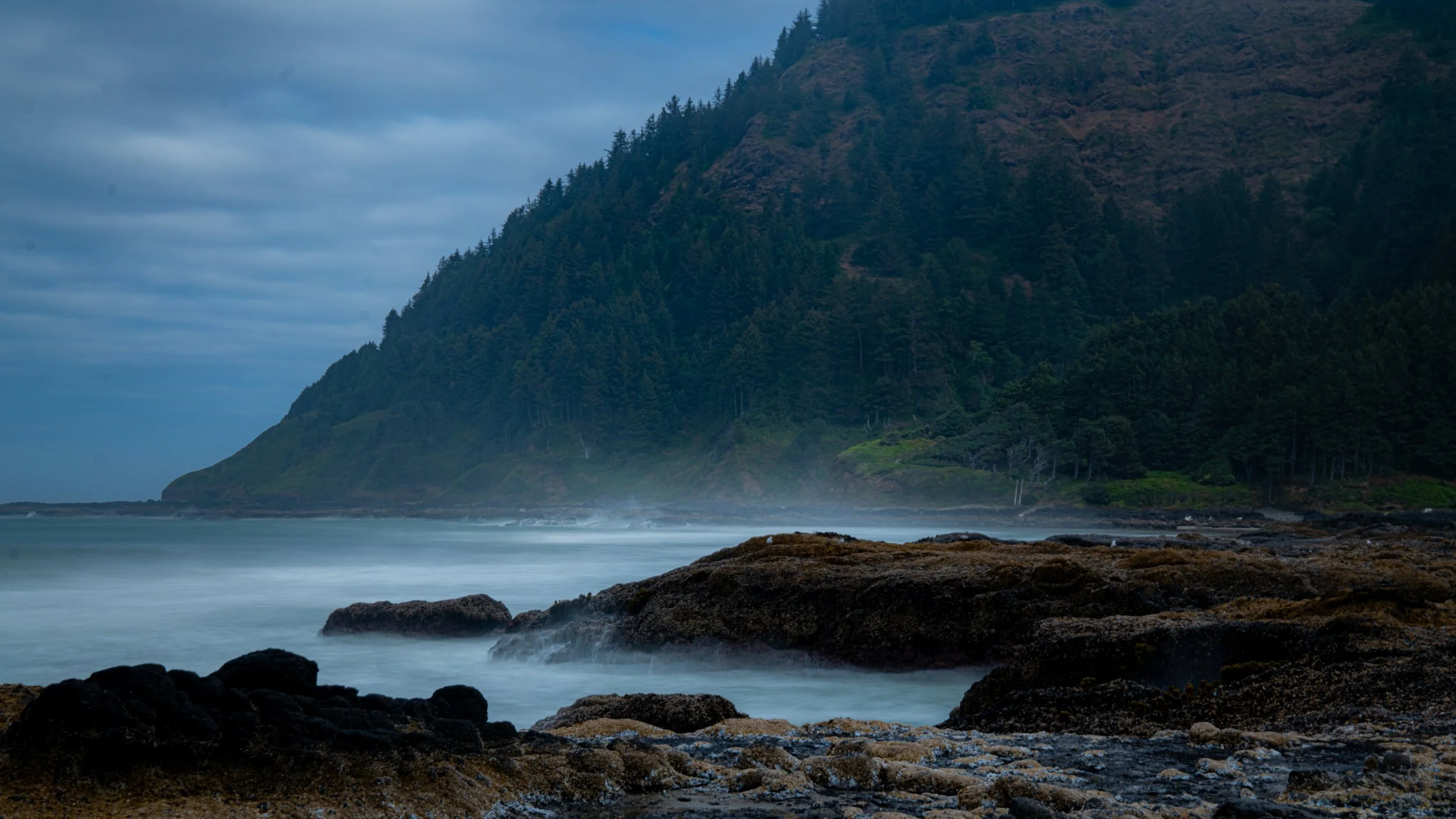 thors well by the bay 11.jpg