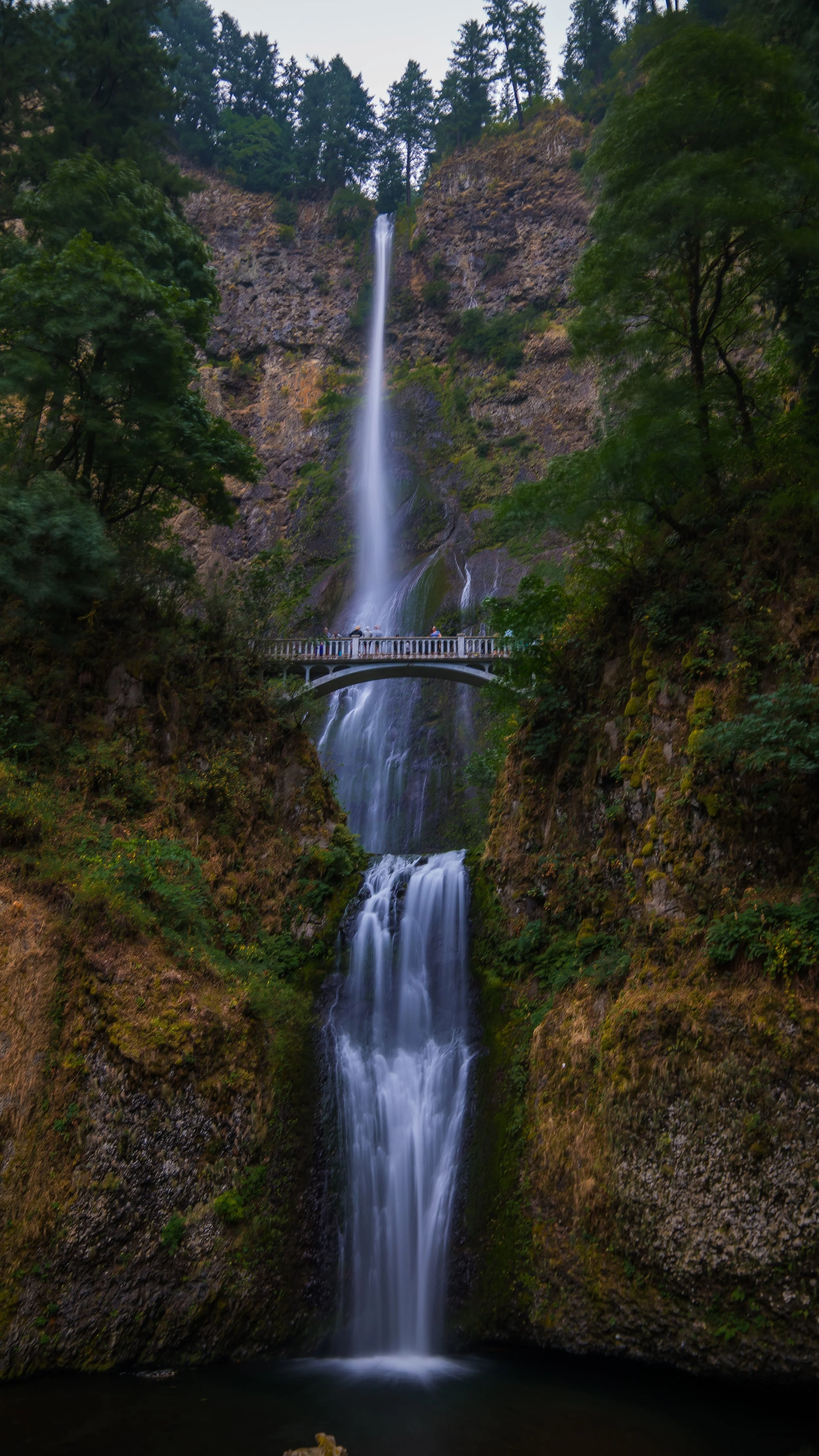 frombelowmultnomah1.jpg