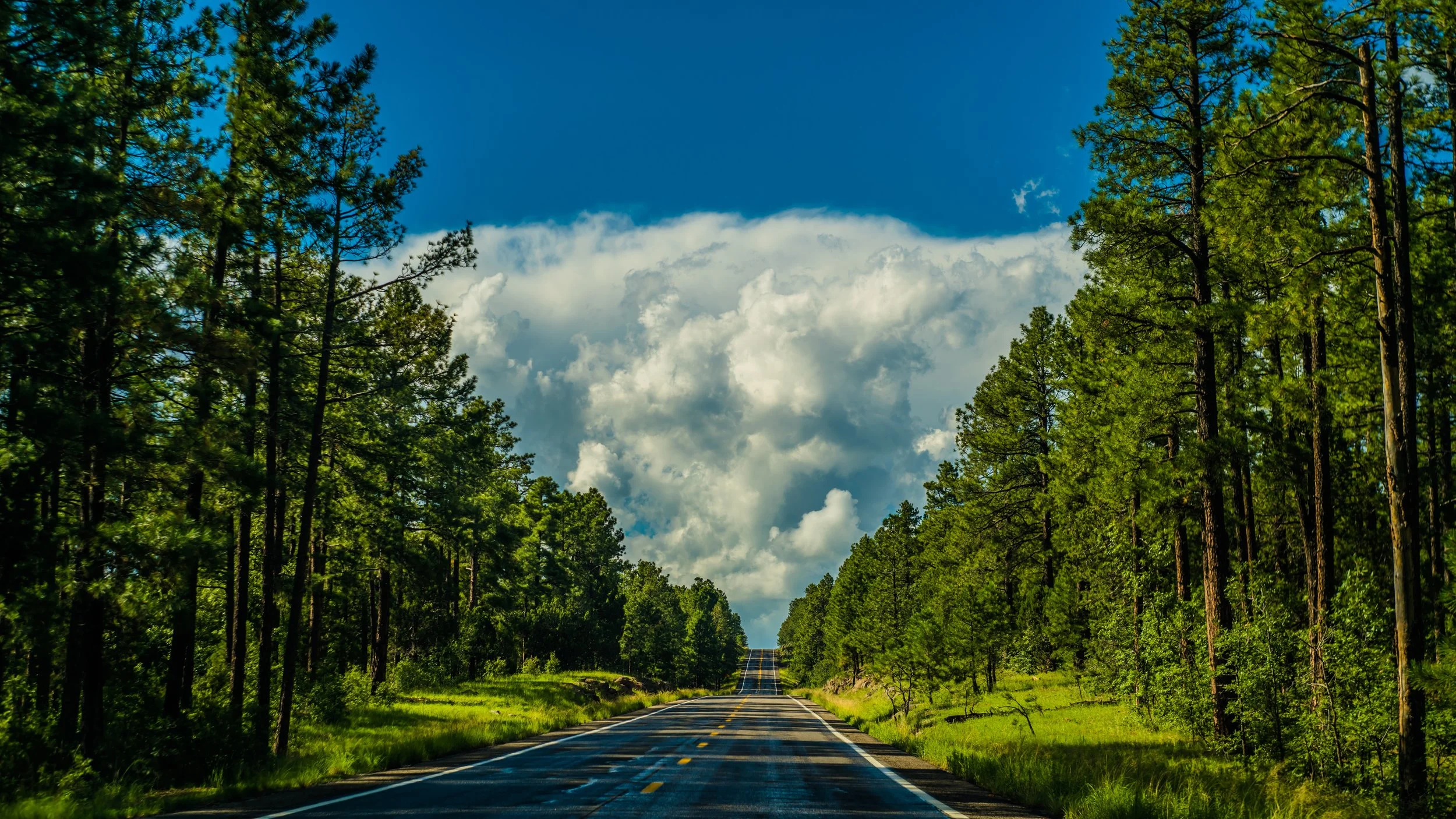 roadsofarizona3.jpg