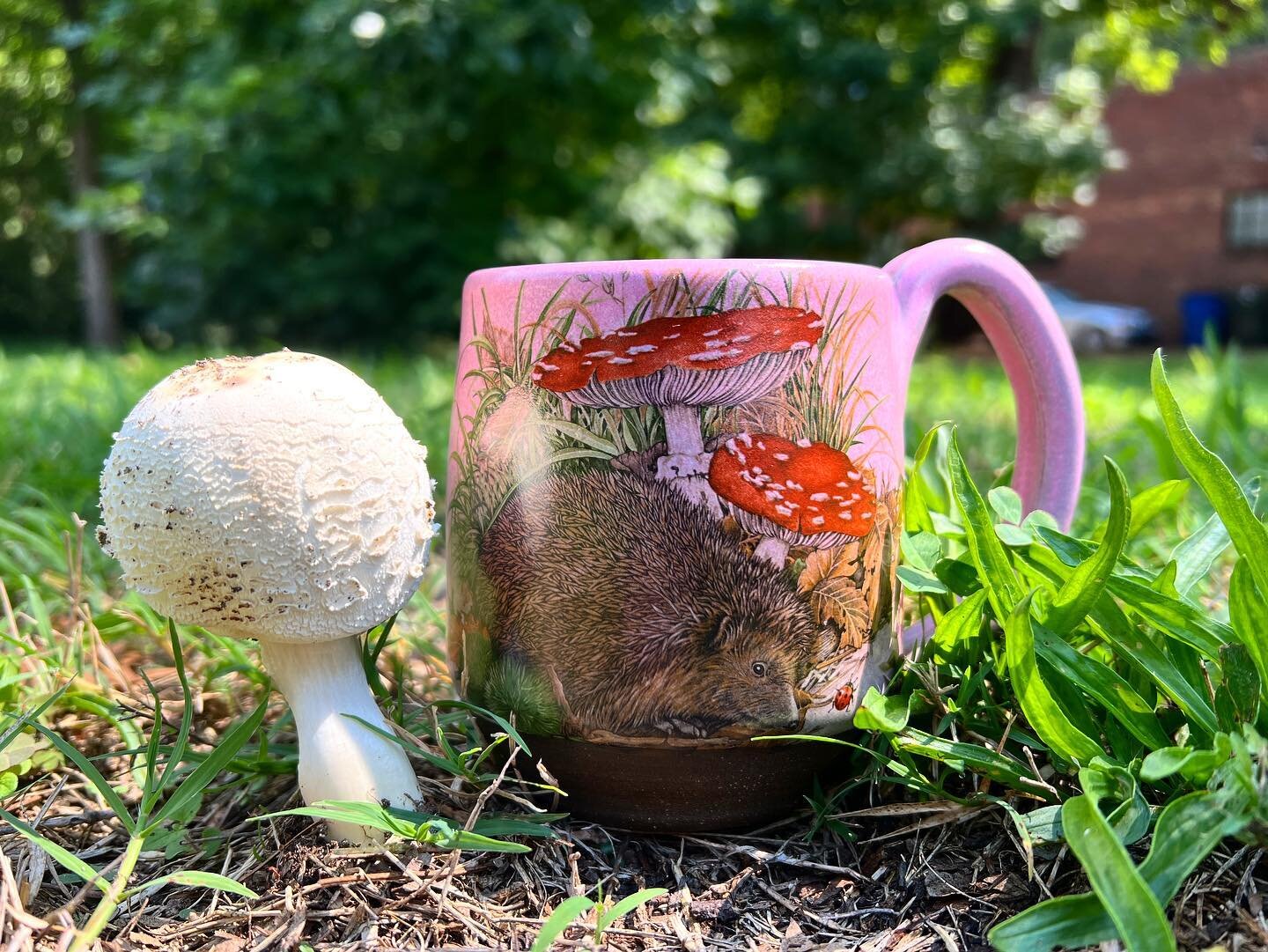 Required 🦔 +🍄 photoshoot
.
.
#potterydecals #pottery #ceramicart #ceramics #raleighart #functionalpottery #stoneware #stonewarepottery #stonewareceramics