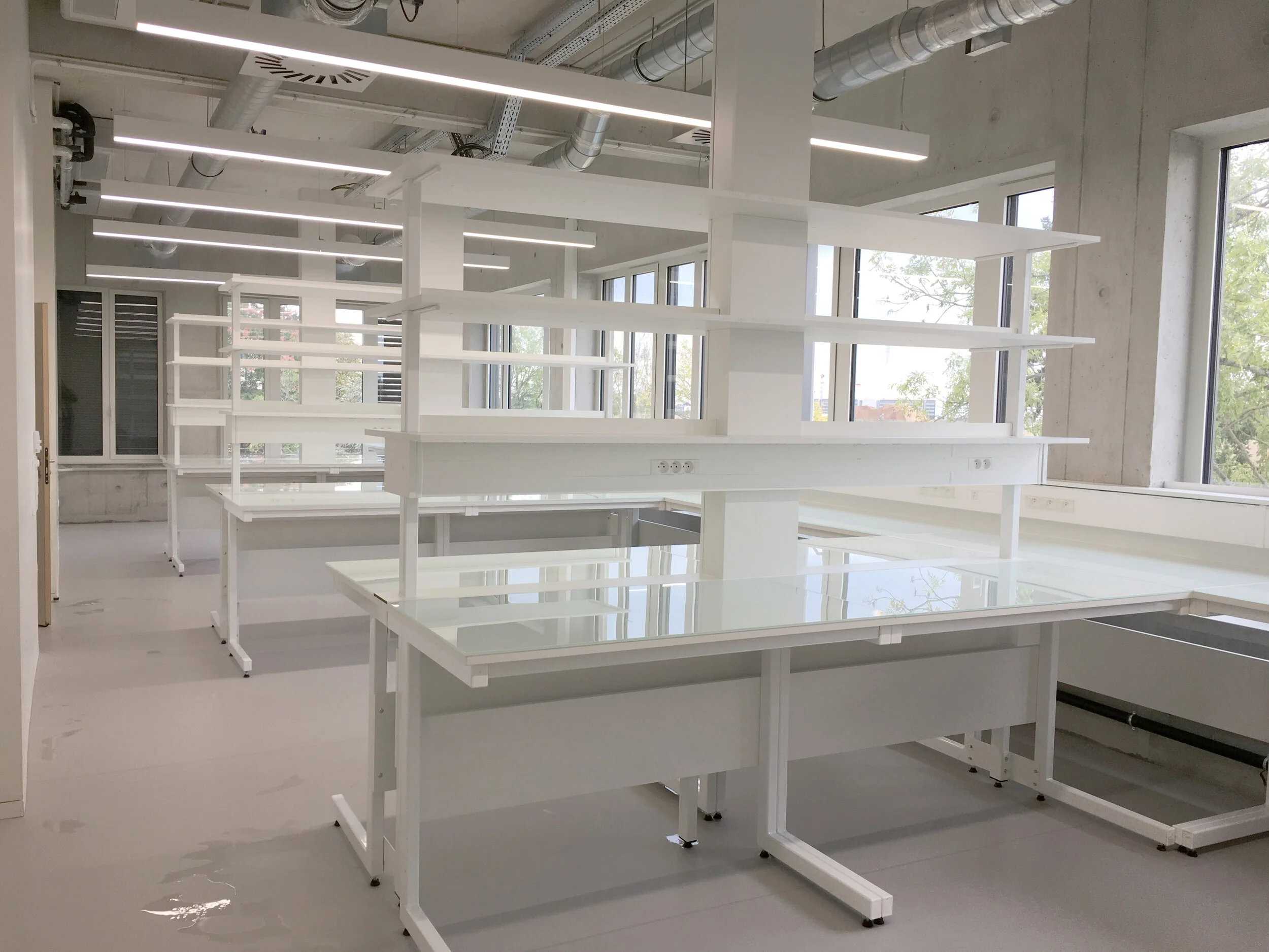 Neuroscience (8).JPG