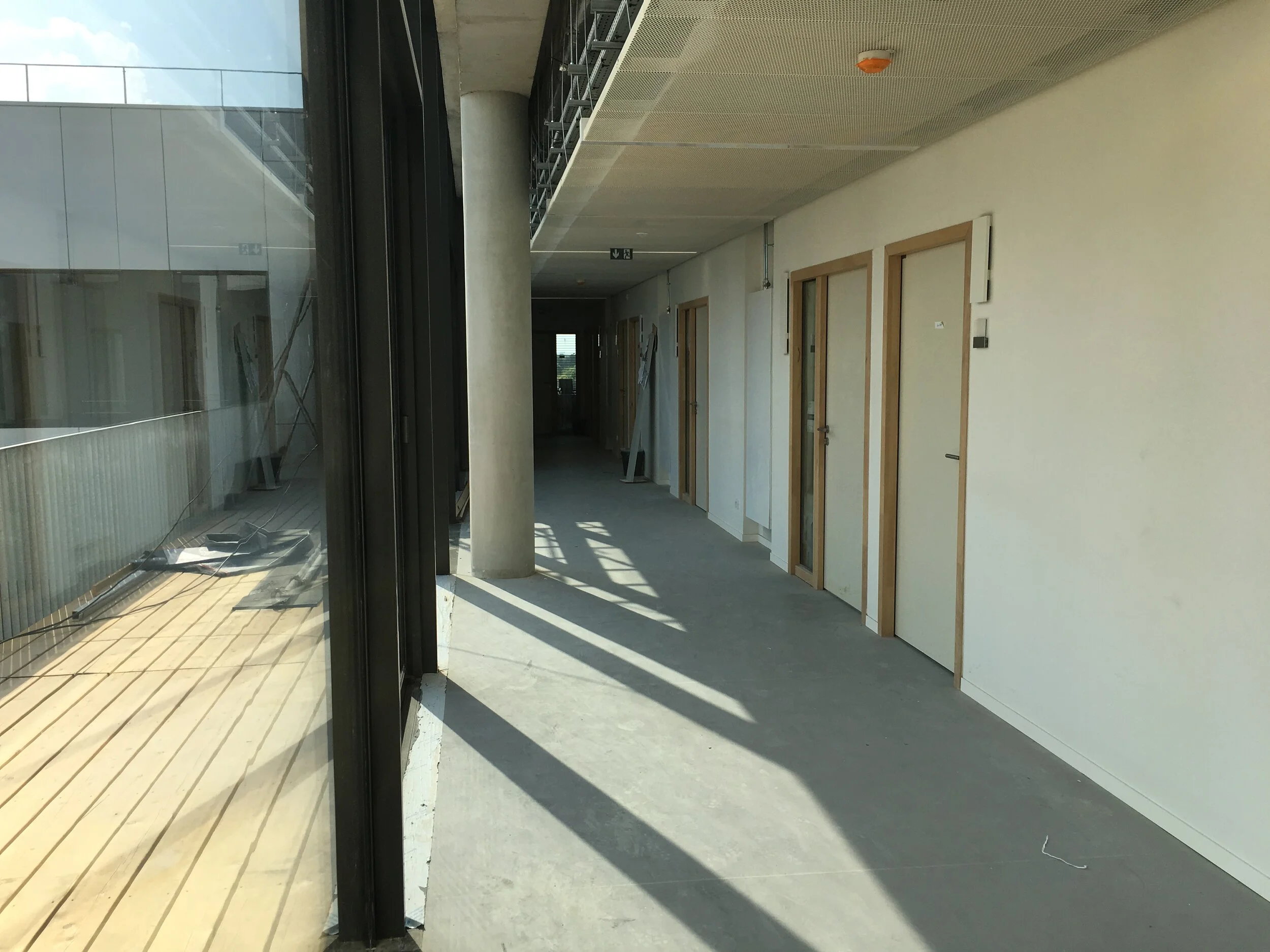 Neuroscience (14).JPG