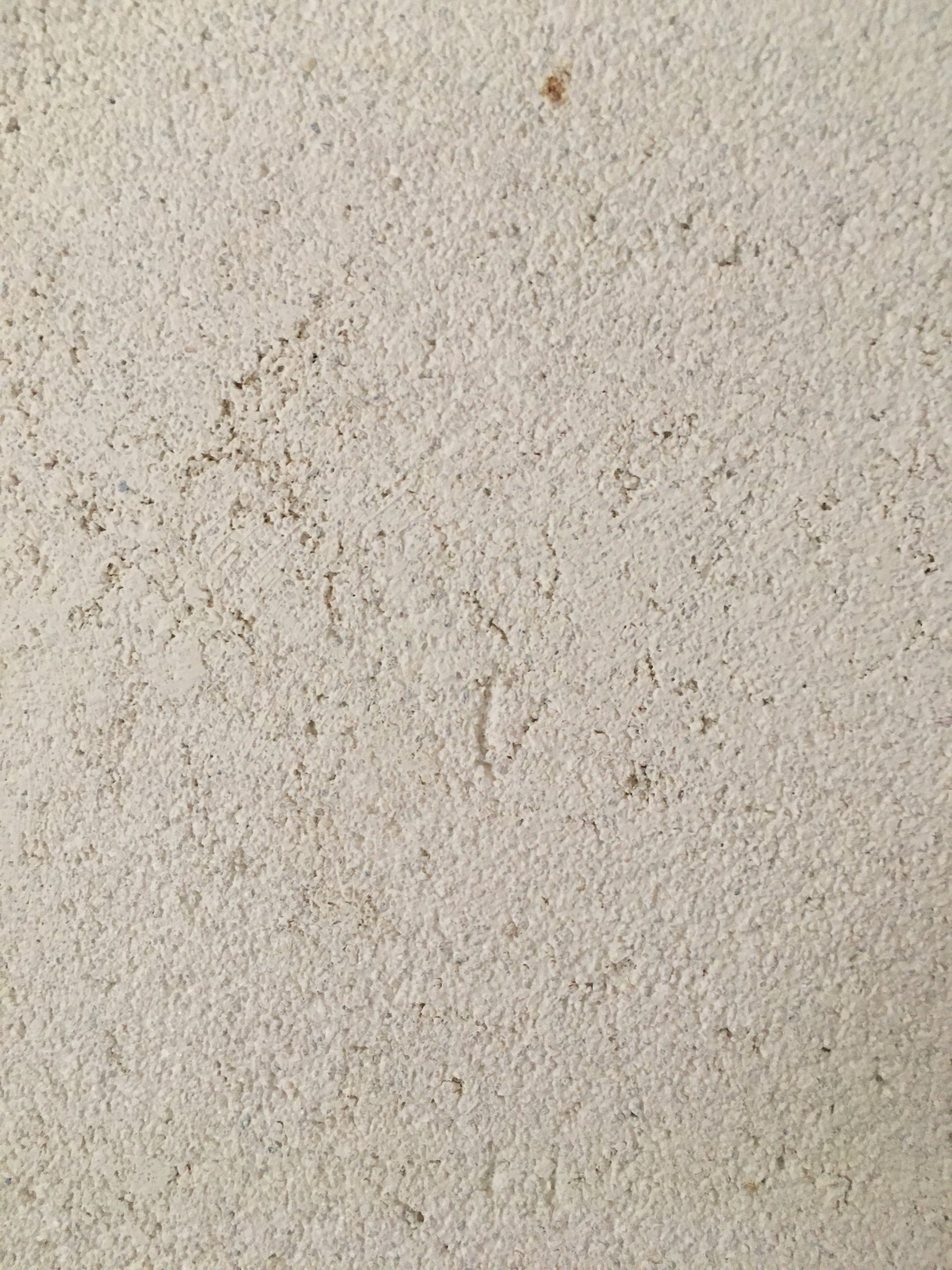 2020_08_BAR (49).JPG