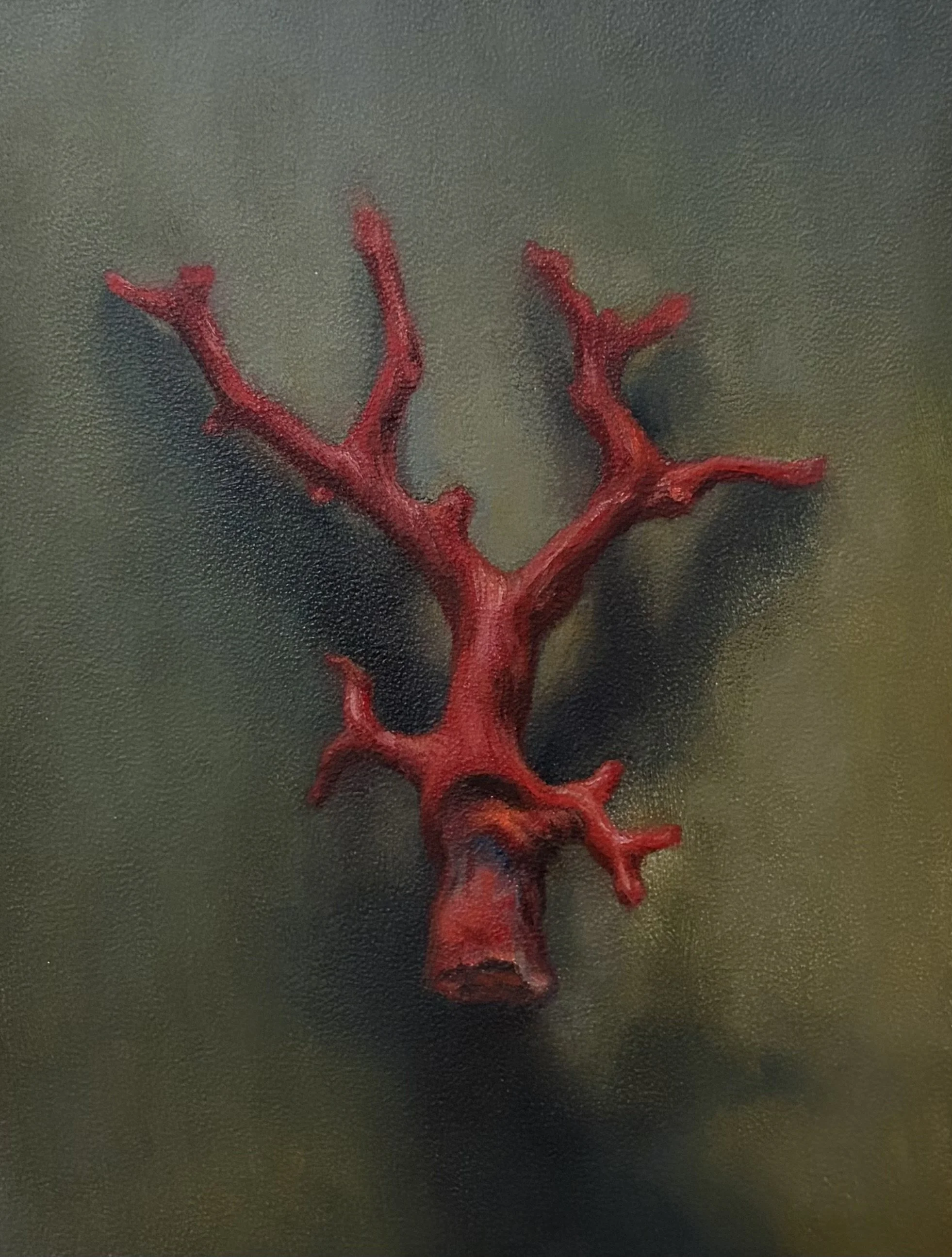 Red Coral