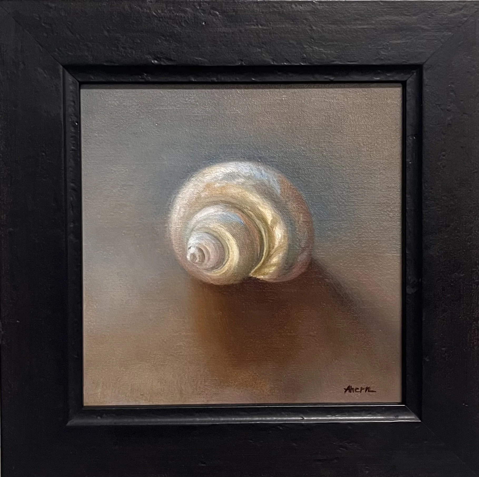 Snail Shell