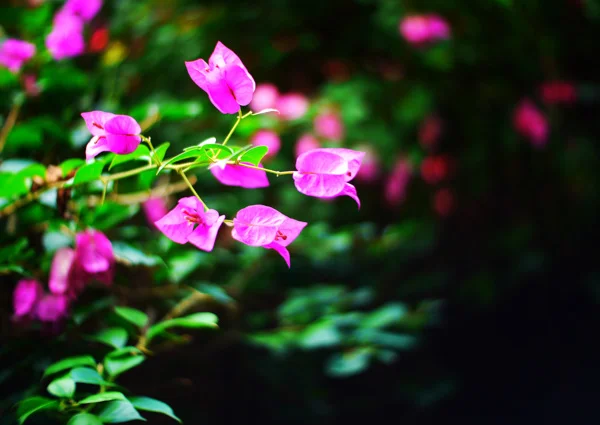 dc790d21b6c7b4f01aa0cc5336c9a2c1.jpg