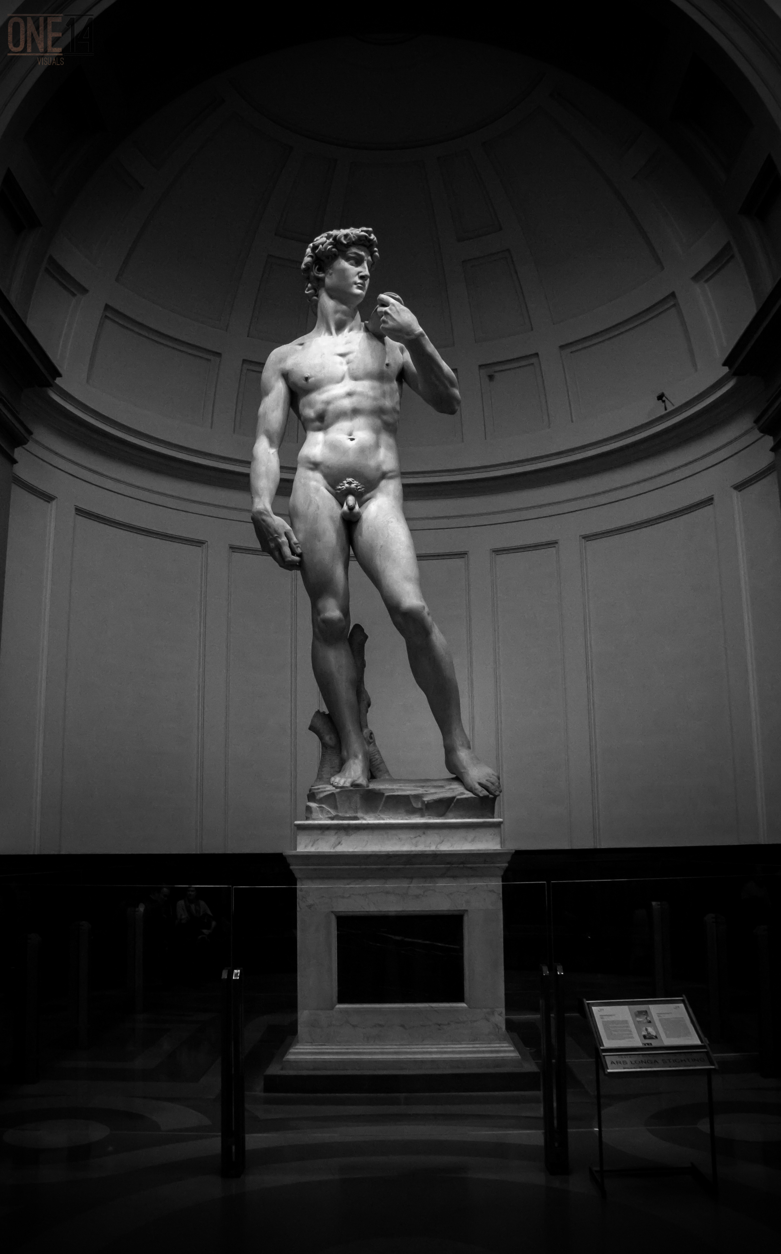 THE david.jpg