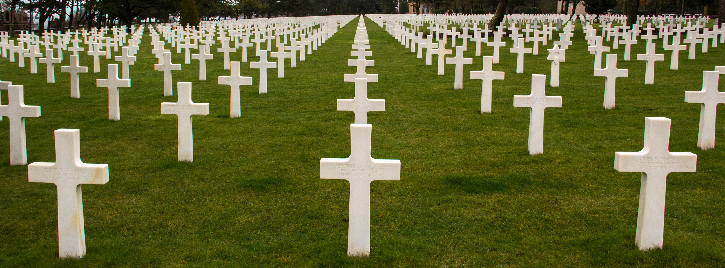 because of the brave.jpg