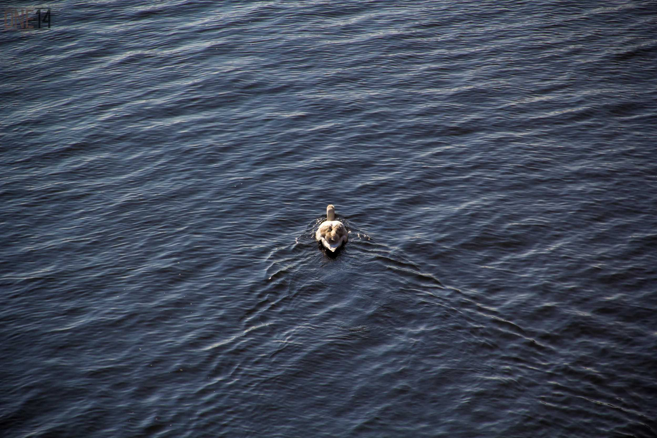 Voyage
