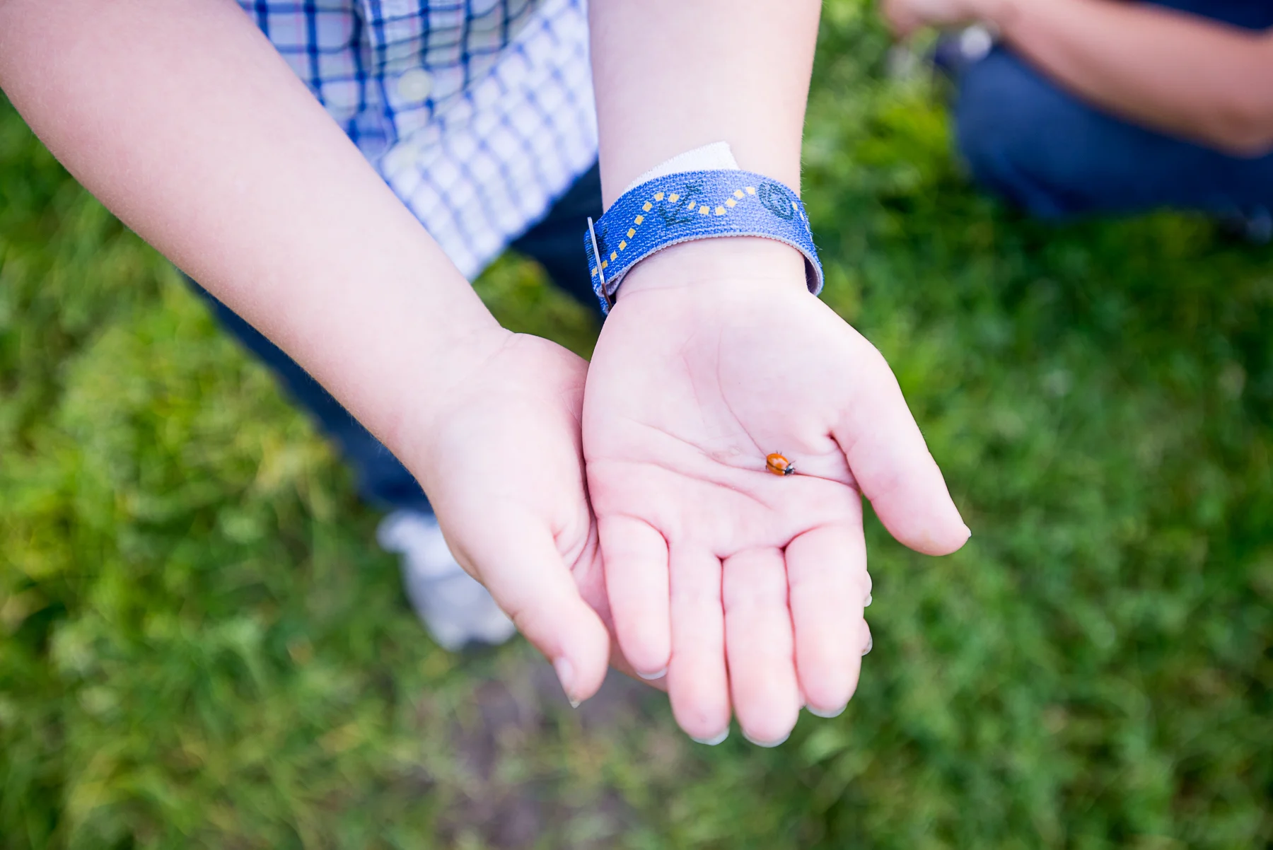 Cohen Family PortraitsGolden Gate Park, San Francisco