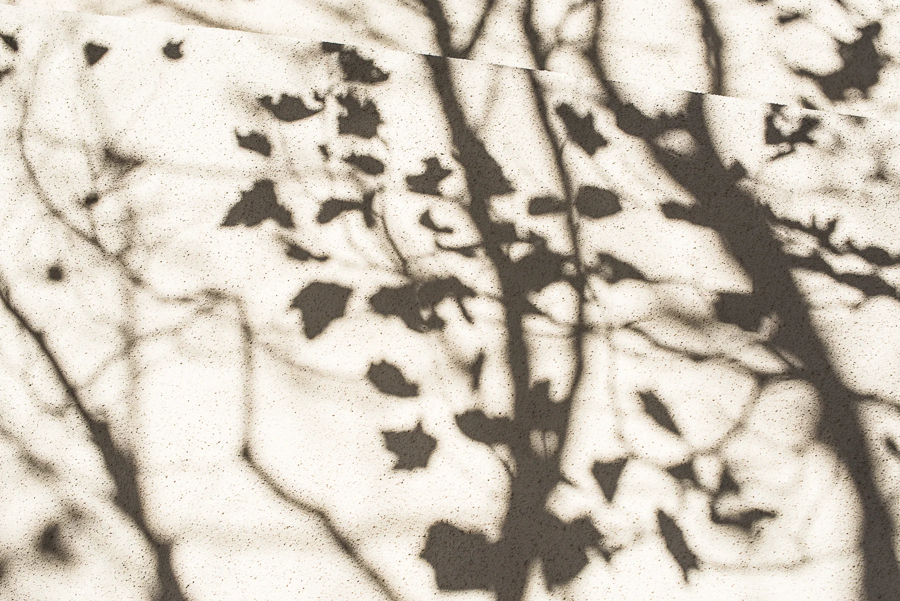 Cade's Bar MitzvahCongregation Emanu-El