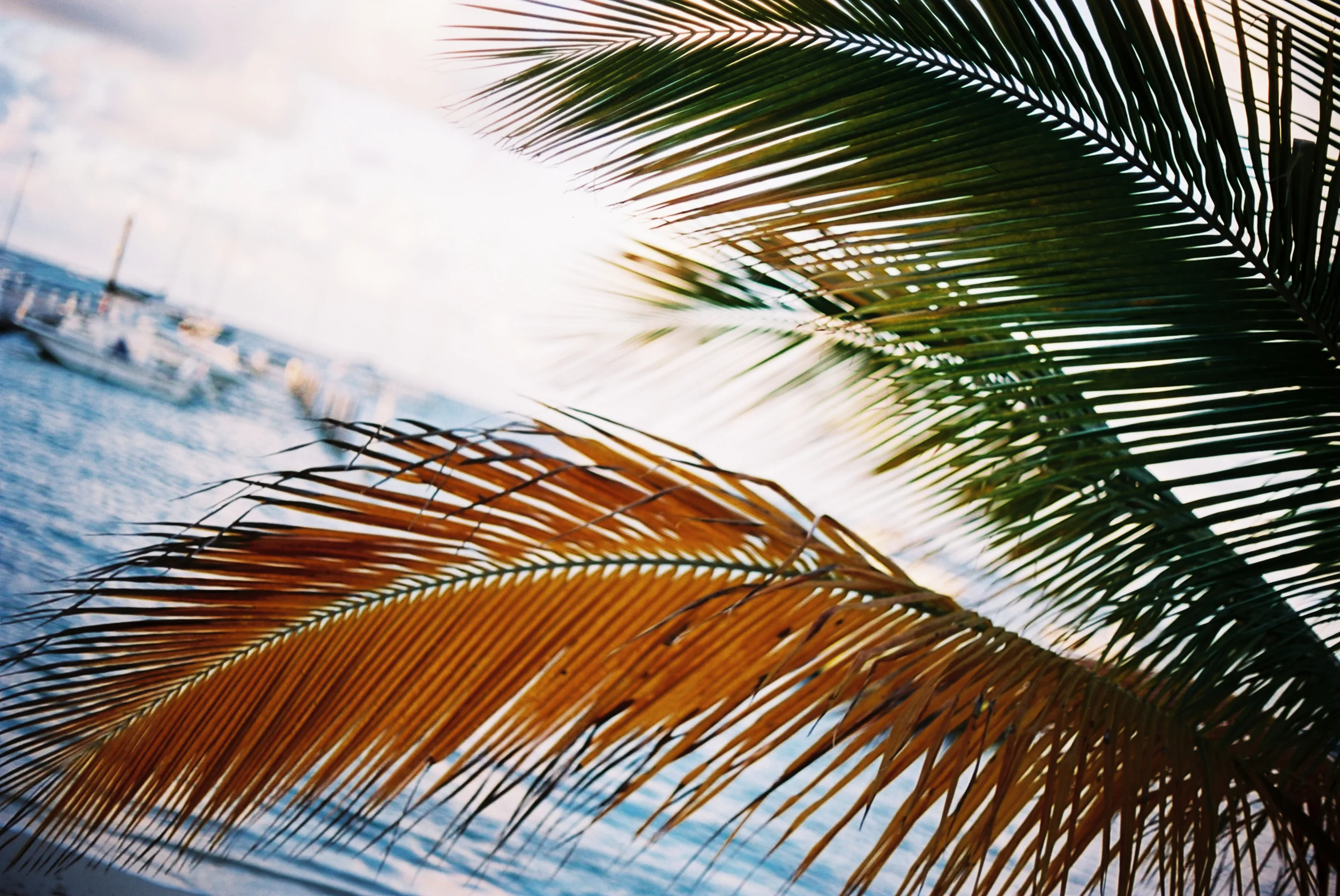 St.CroixTravel Photography