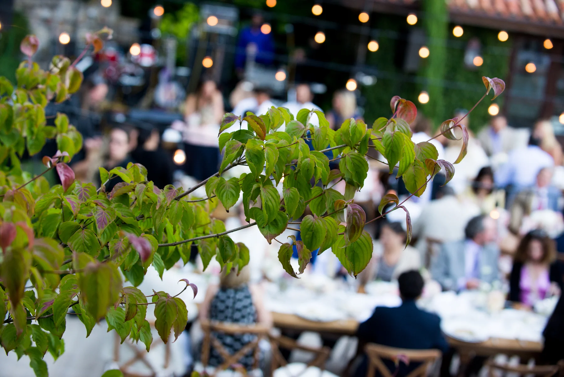 2016_Tina&Joel_firstlook-3898.jpg