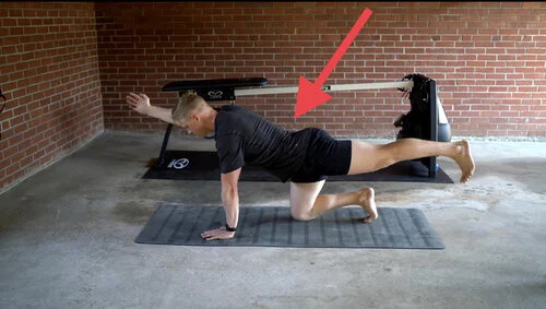How to Strengthen Your Lower Back: Best Core and Back Exercises That Work