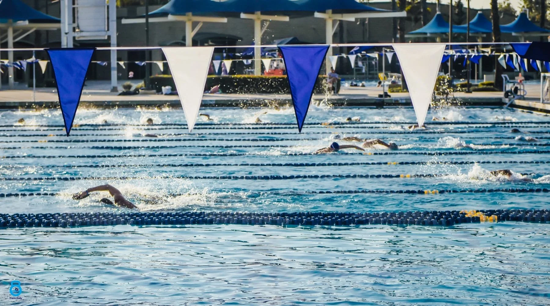 SWOLF in Swimming How to Improve It ️ — Train Daly