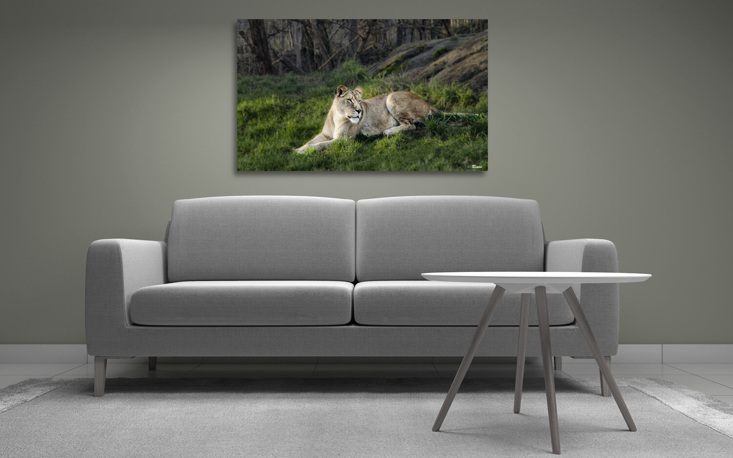 taupe-wall-gray-sofa-lion.jpg