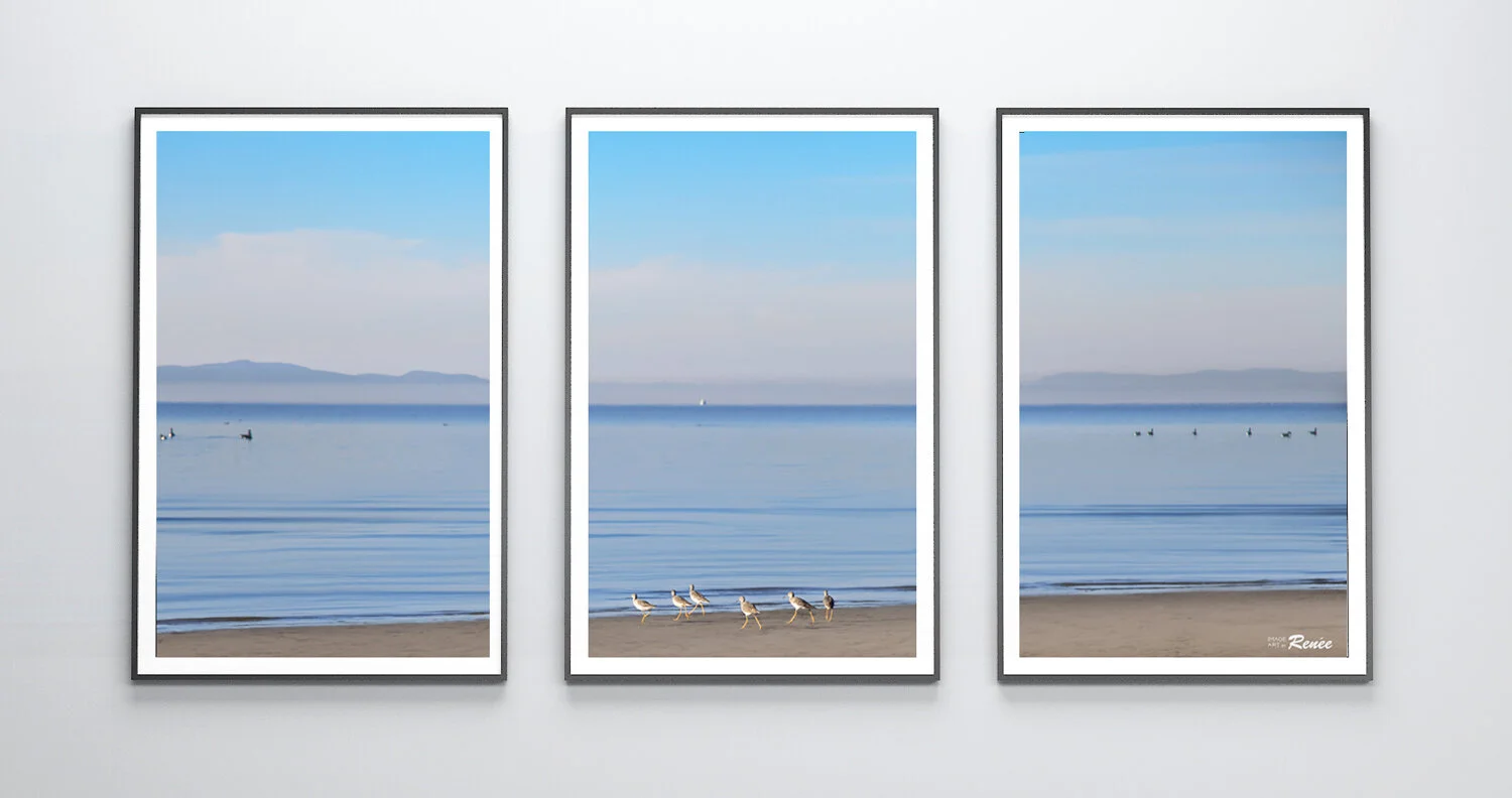 graylivingroom3frames-1500.jpg