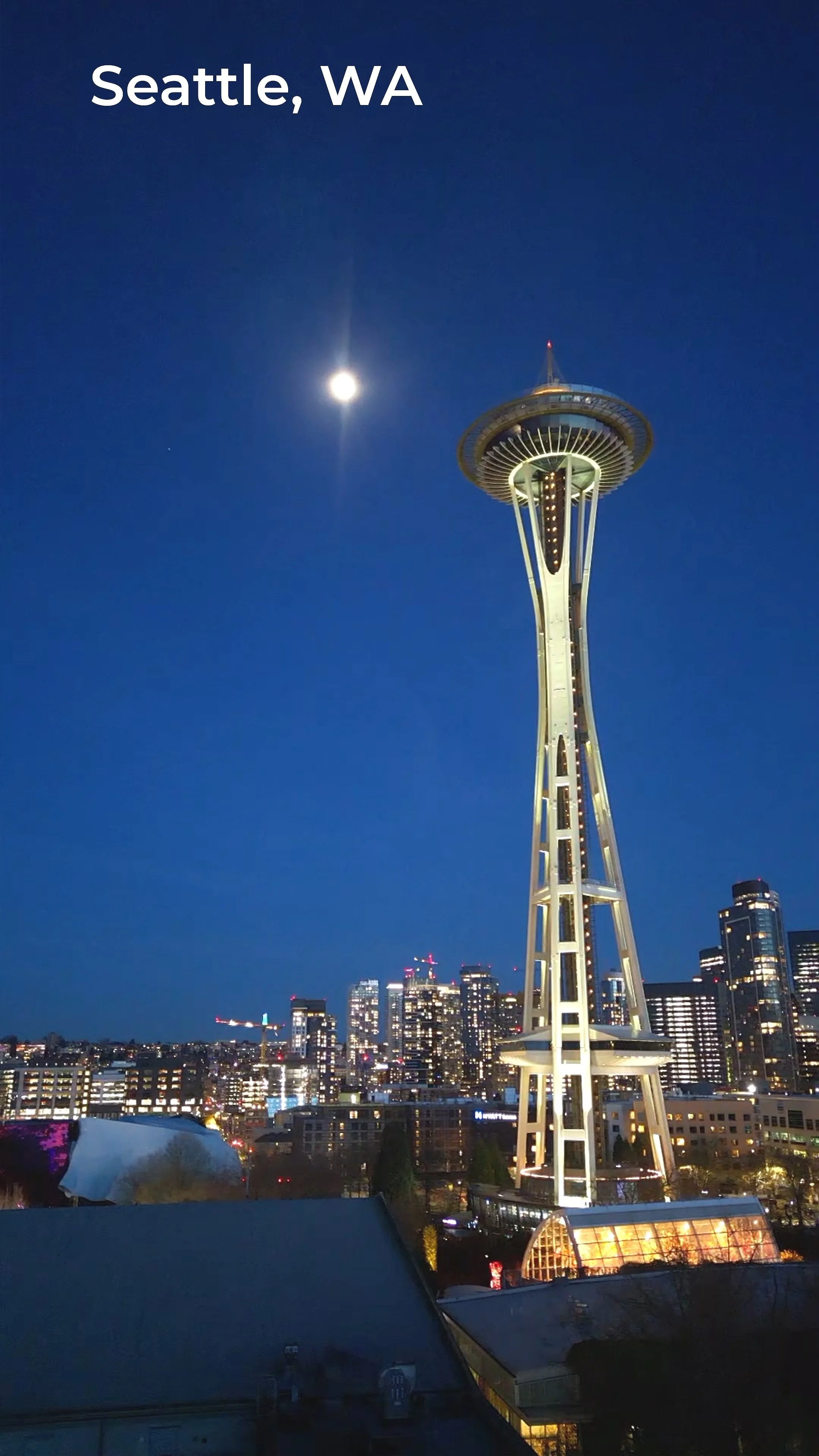 Seattle+Skyline.jpg
