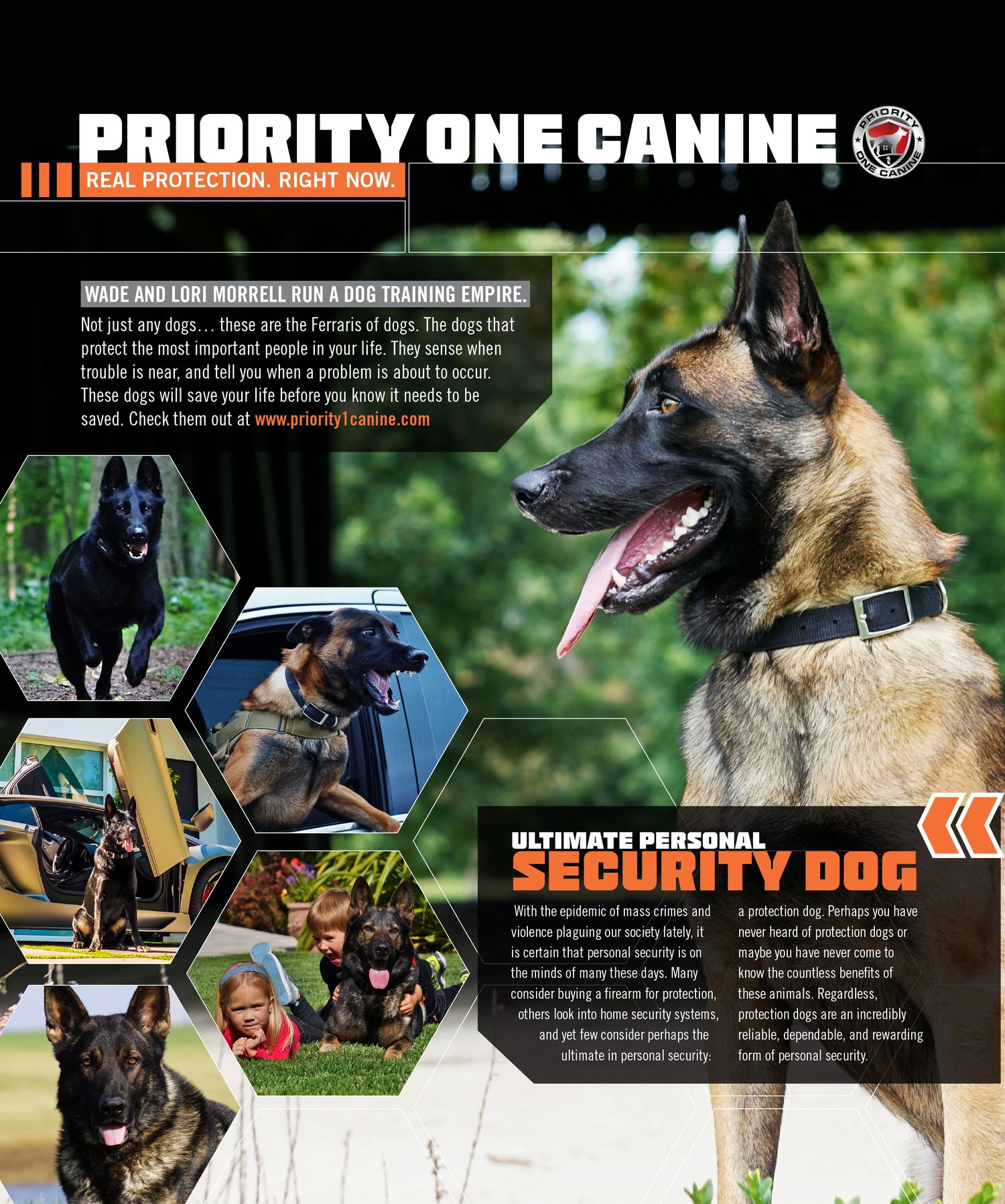 Priority One Canine