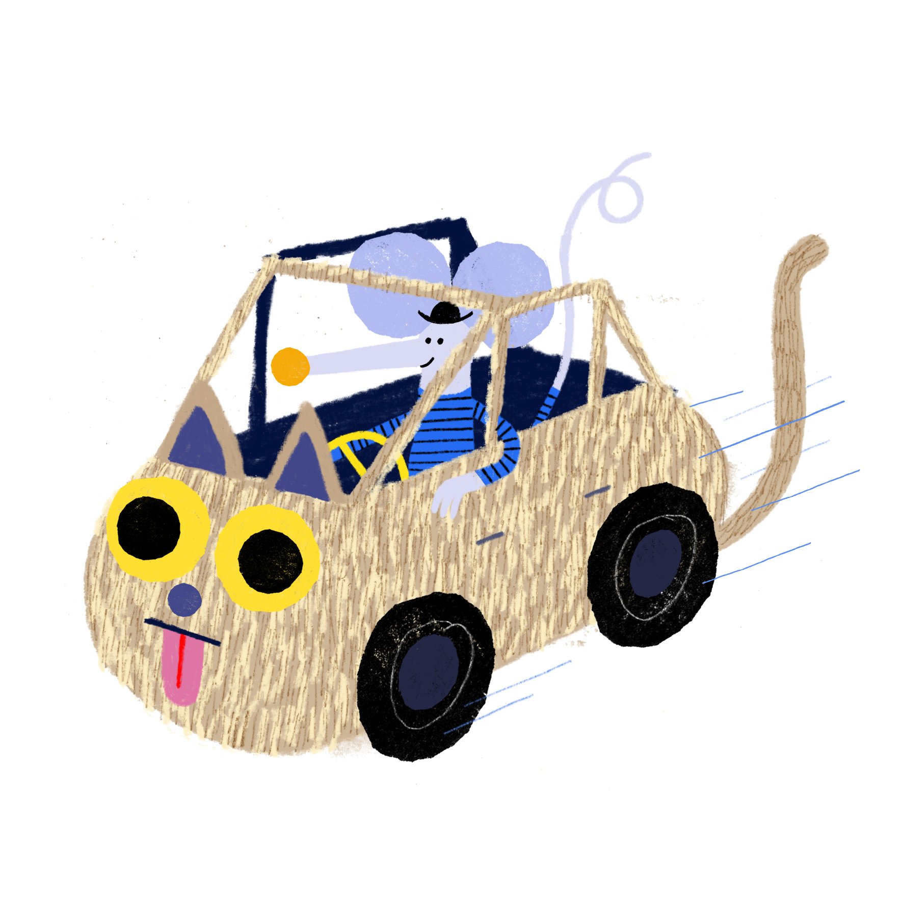 Rob Hodgson Cat Car