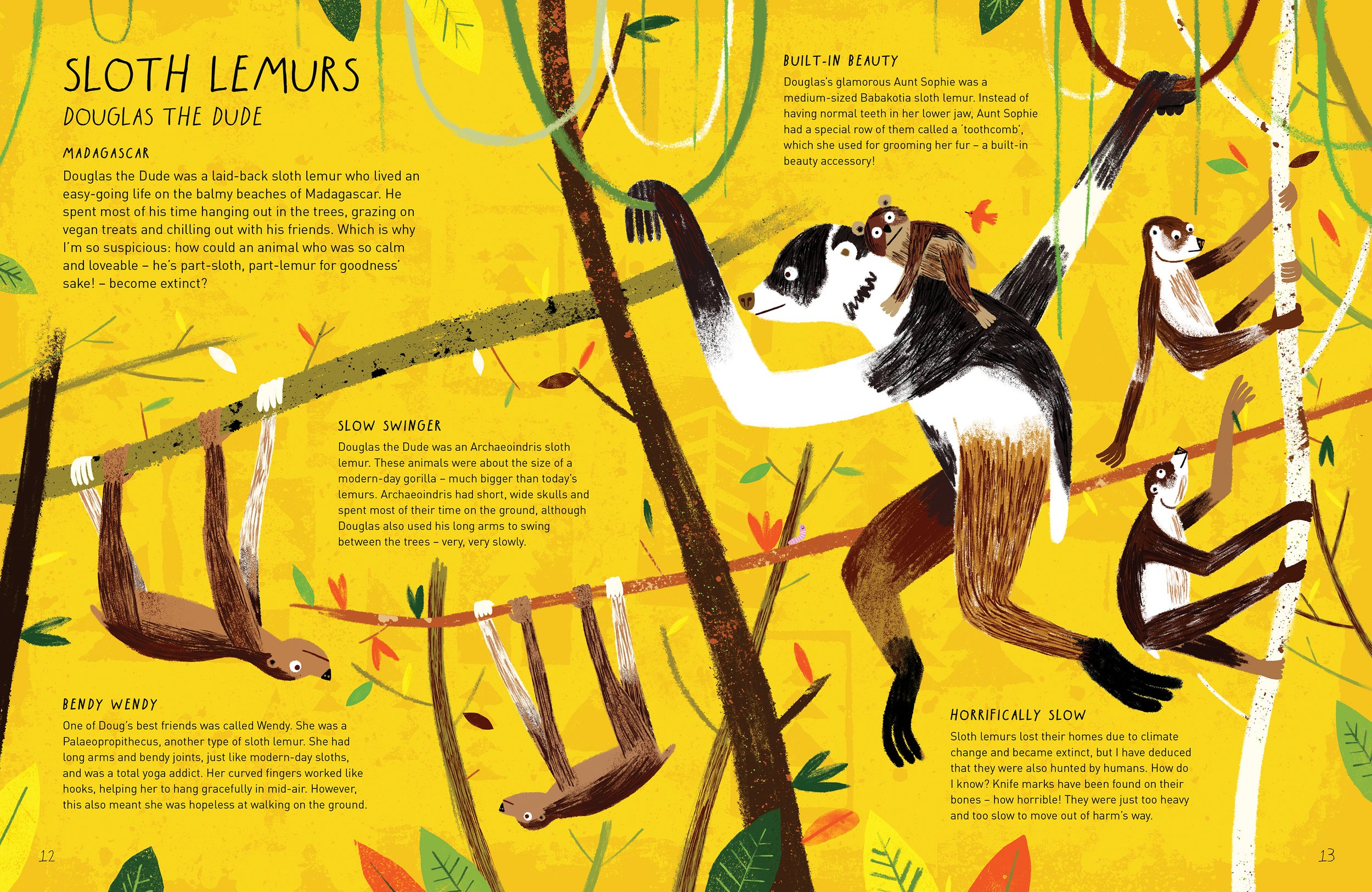 10-11 sloth lemurs (Archaeoindris, Mesopropithecus, Babakotia, Palaeopropithecus).jpg