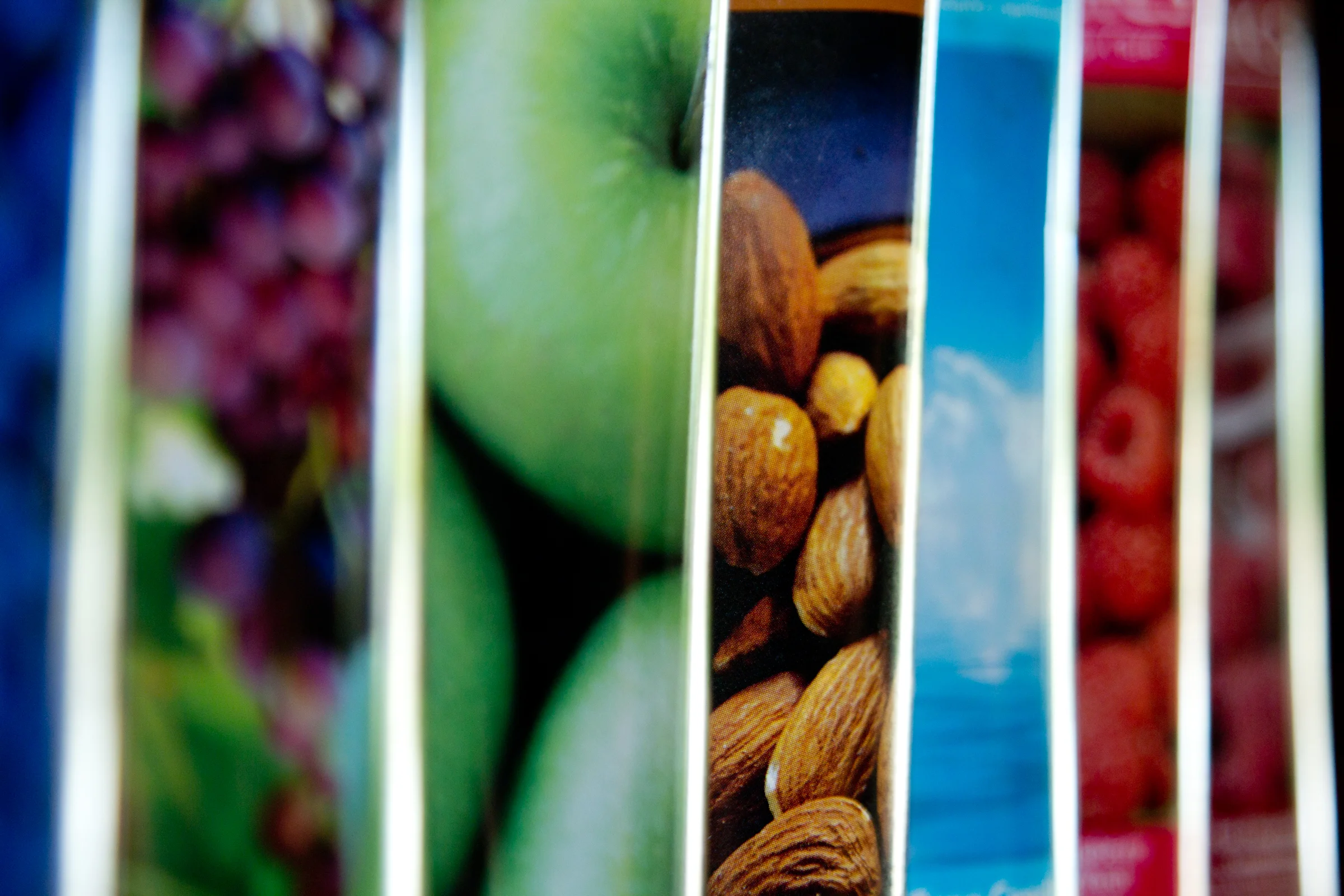 eg. Taking Care of Your Family Naturally course #2