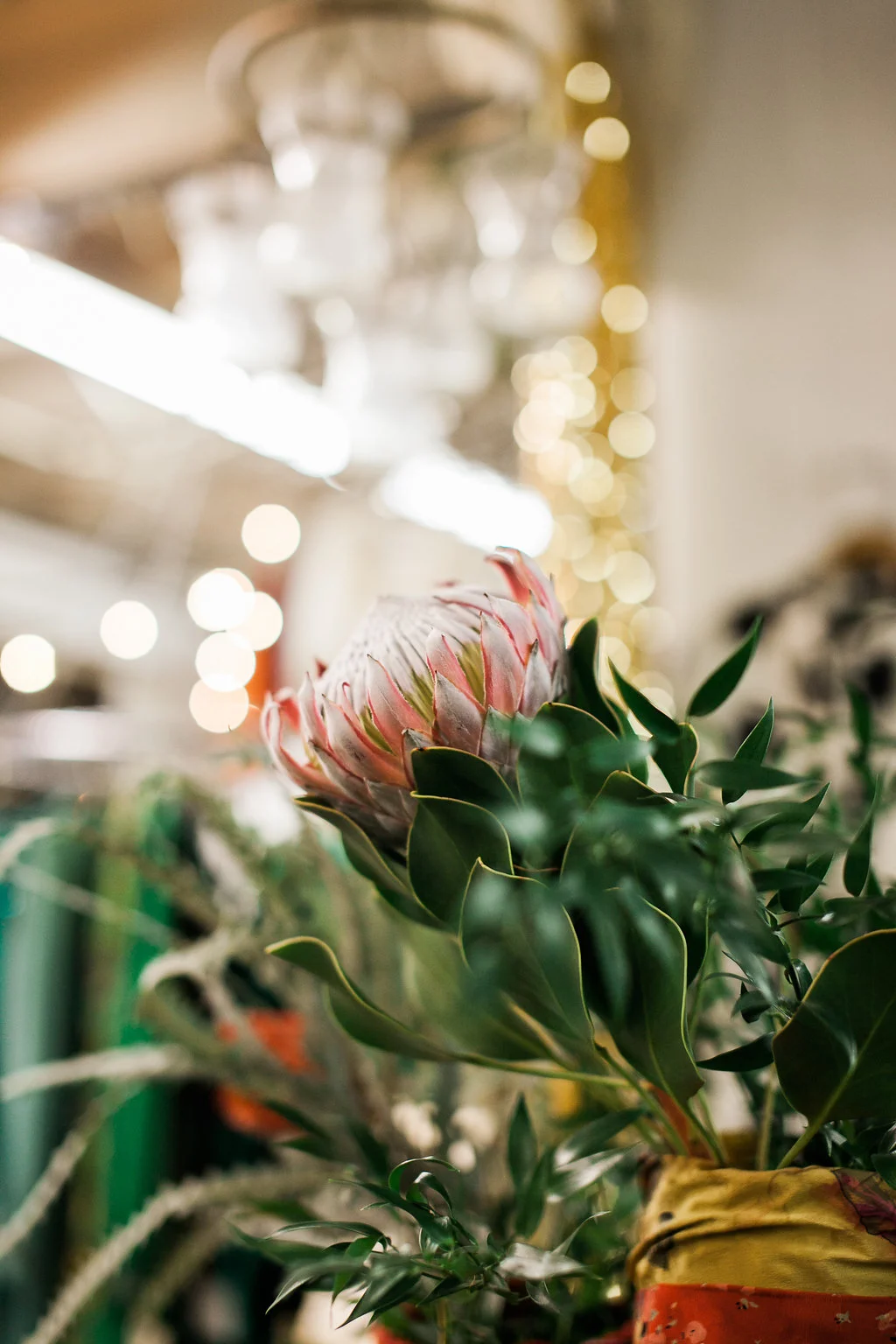 Boholiday-2015-051.jpg