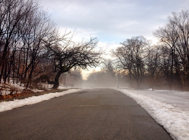 Winter time Prospect Park, Photo by Tayler Rae Dubé
