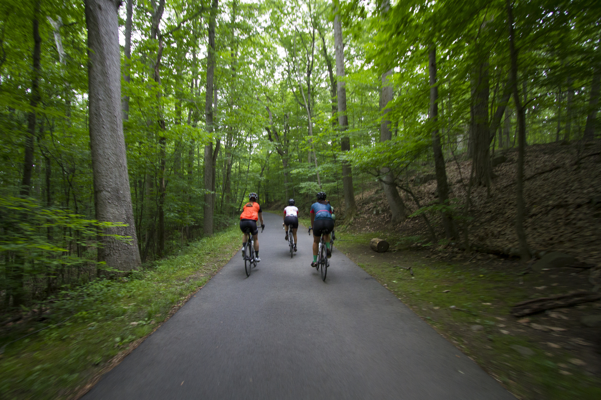 A small group enjoyed the wooded trails on the way back from Piermont.