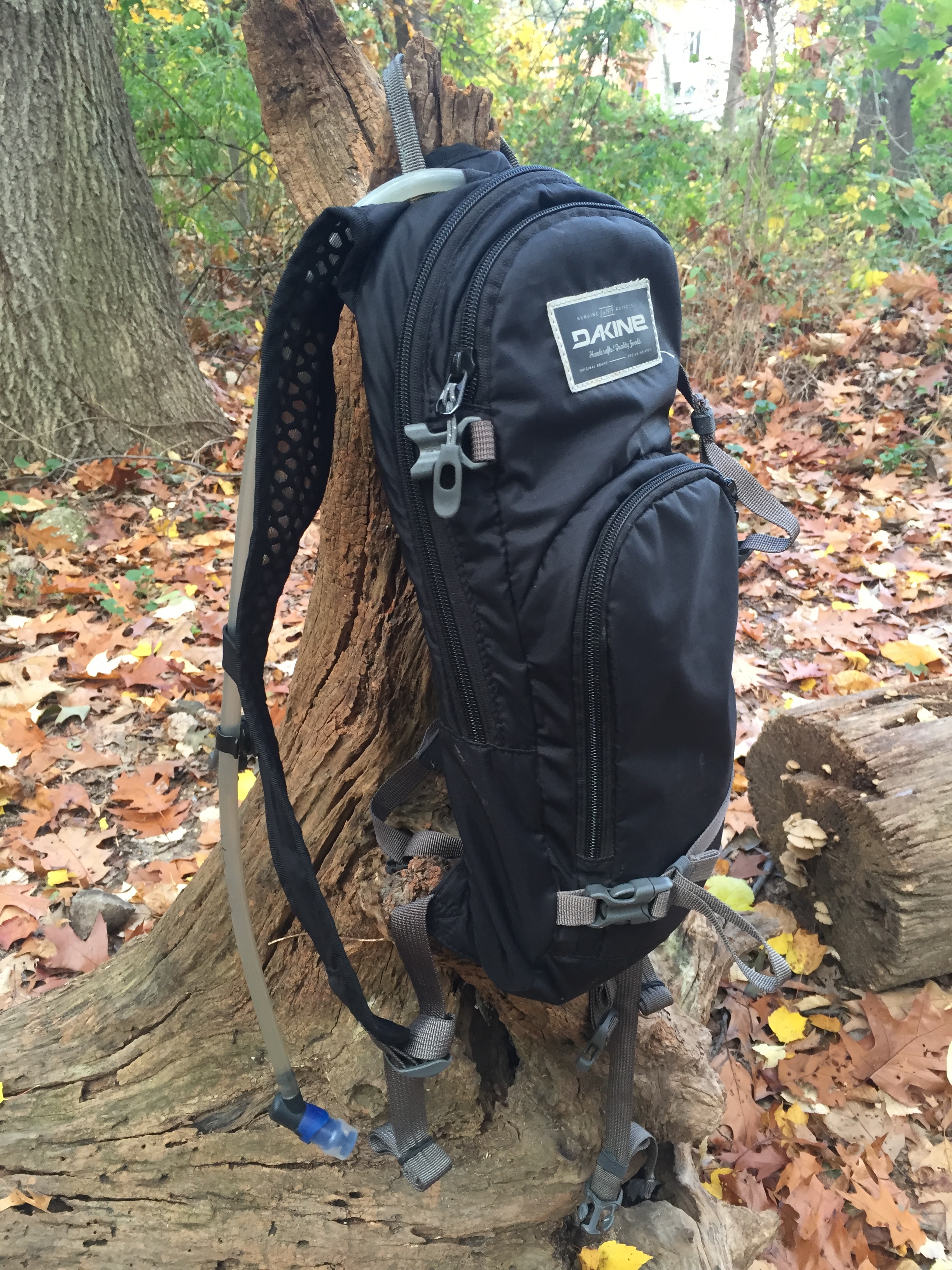 Dakine Hydration pack