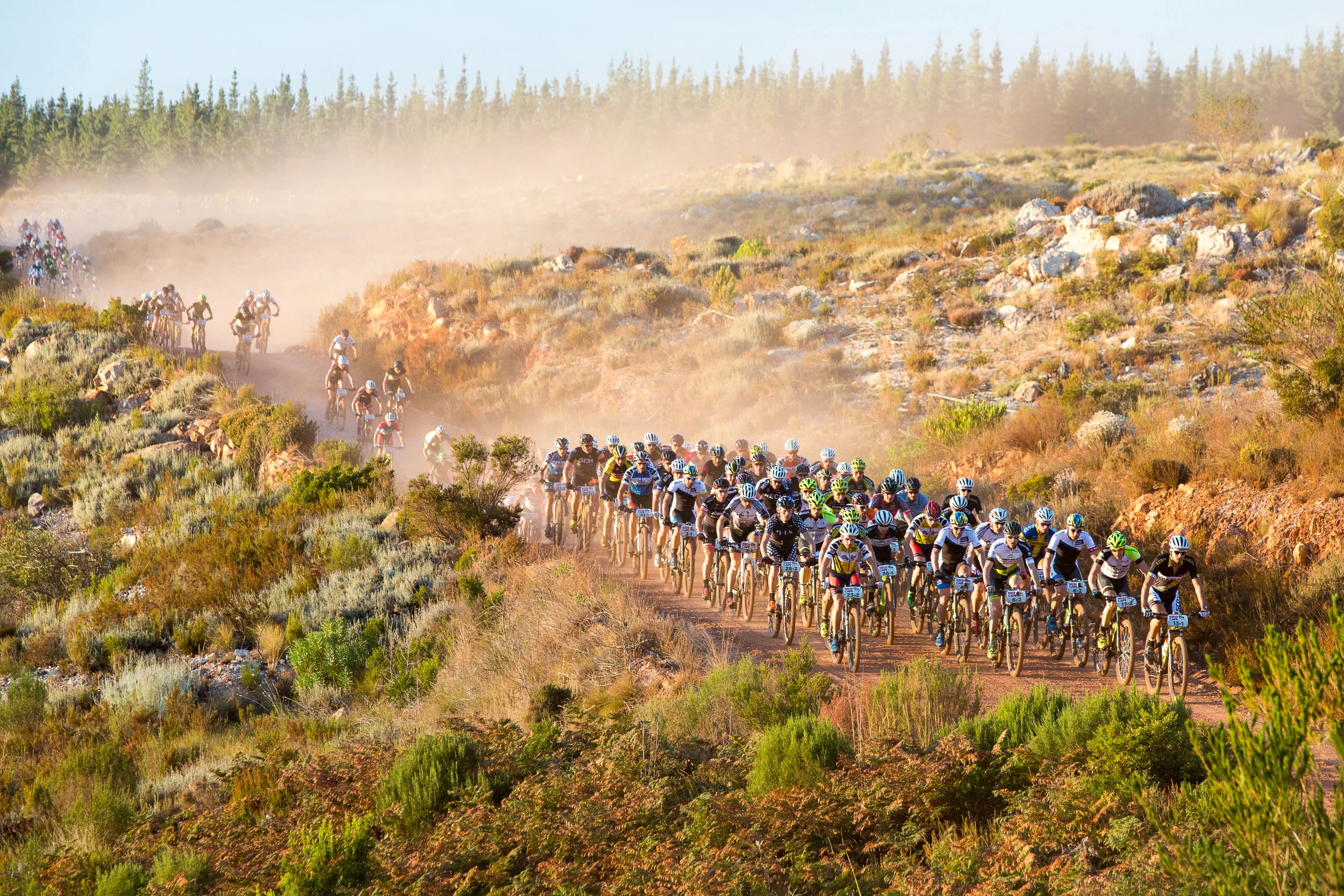 Sportzpics/ Cape Epic