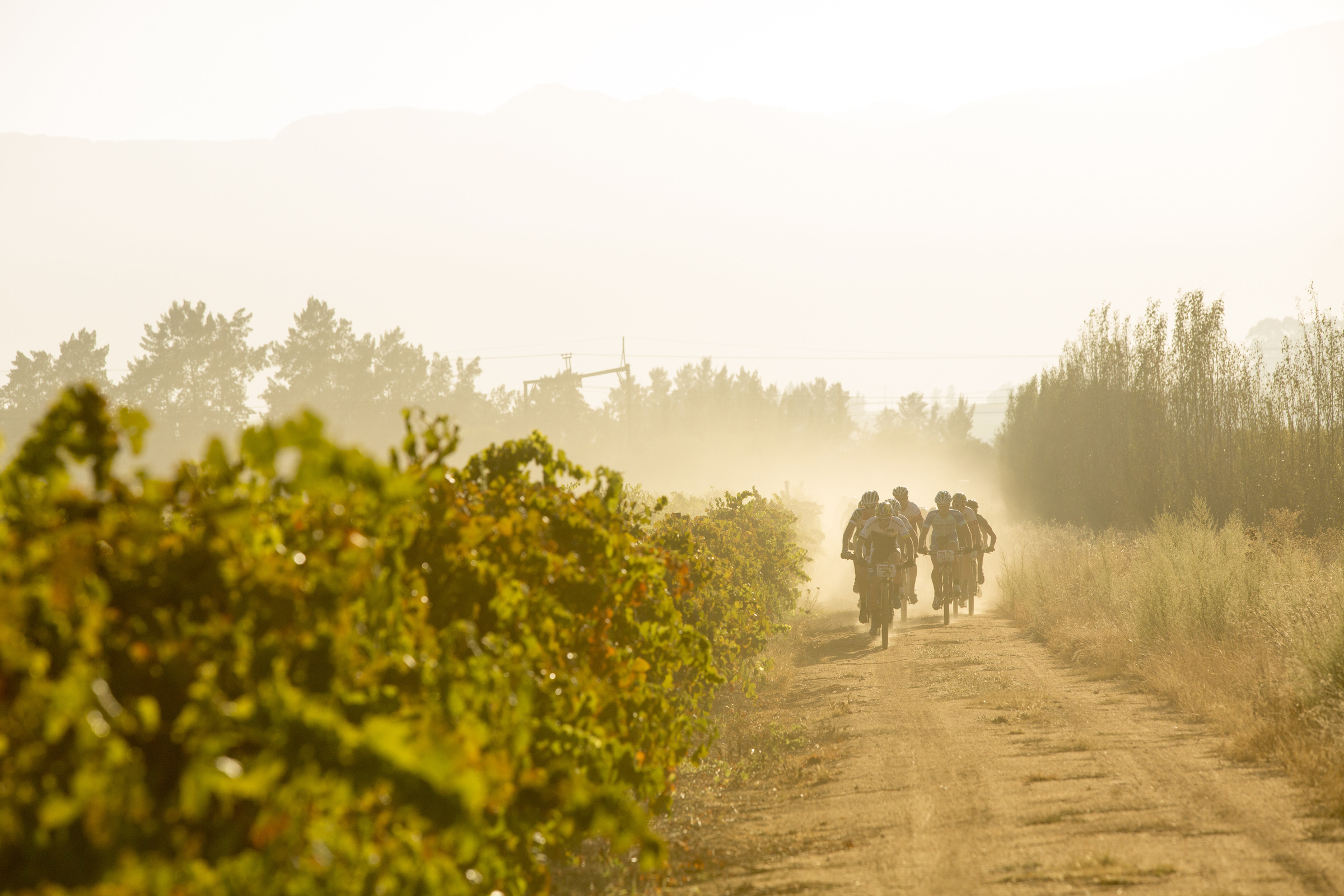 Sportzpics/ Cape Epic