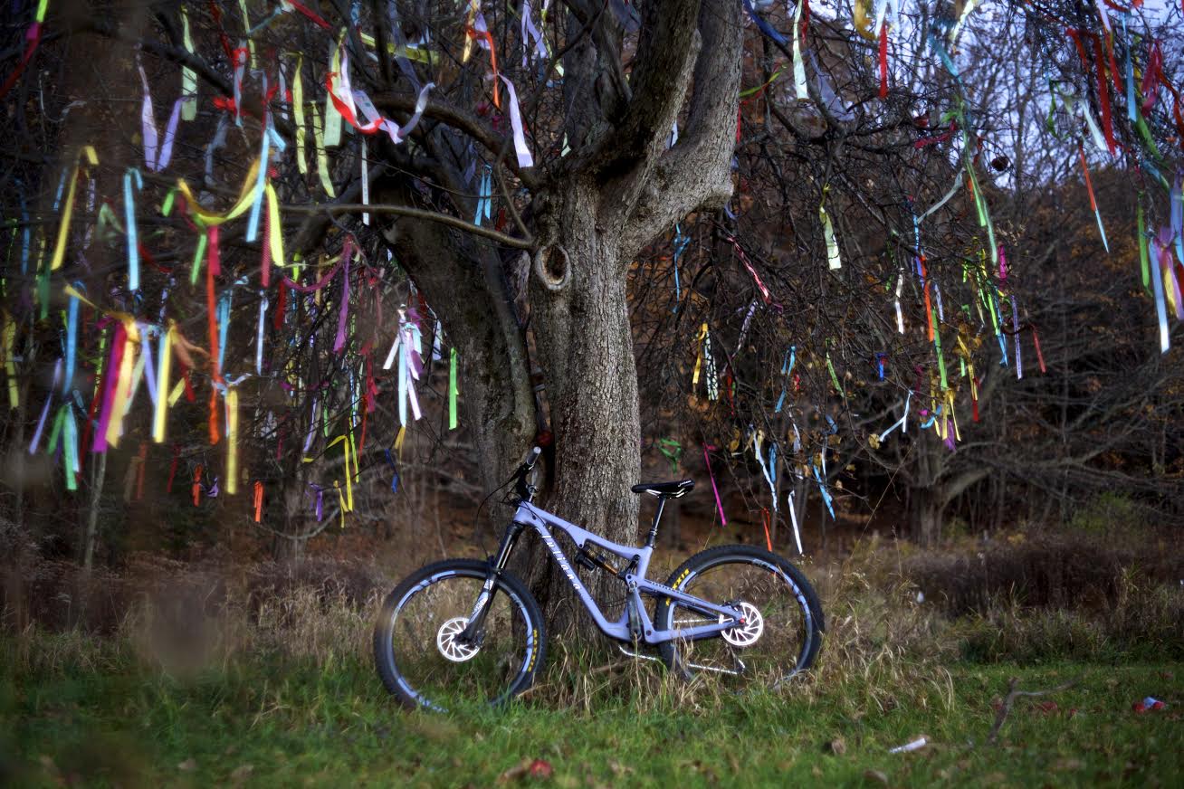 by Oliver Correa Shot on location planet earth in front of the Climate Ribbon tree. “What do love and hope to NEVER lose to climate chaos?” Learn more here - http://theclimateribbon.org/english#home