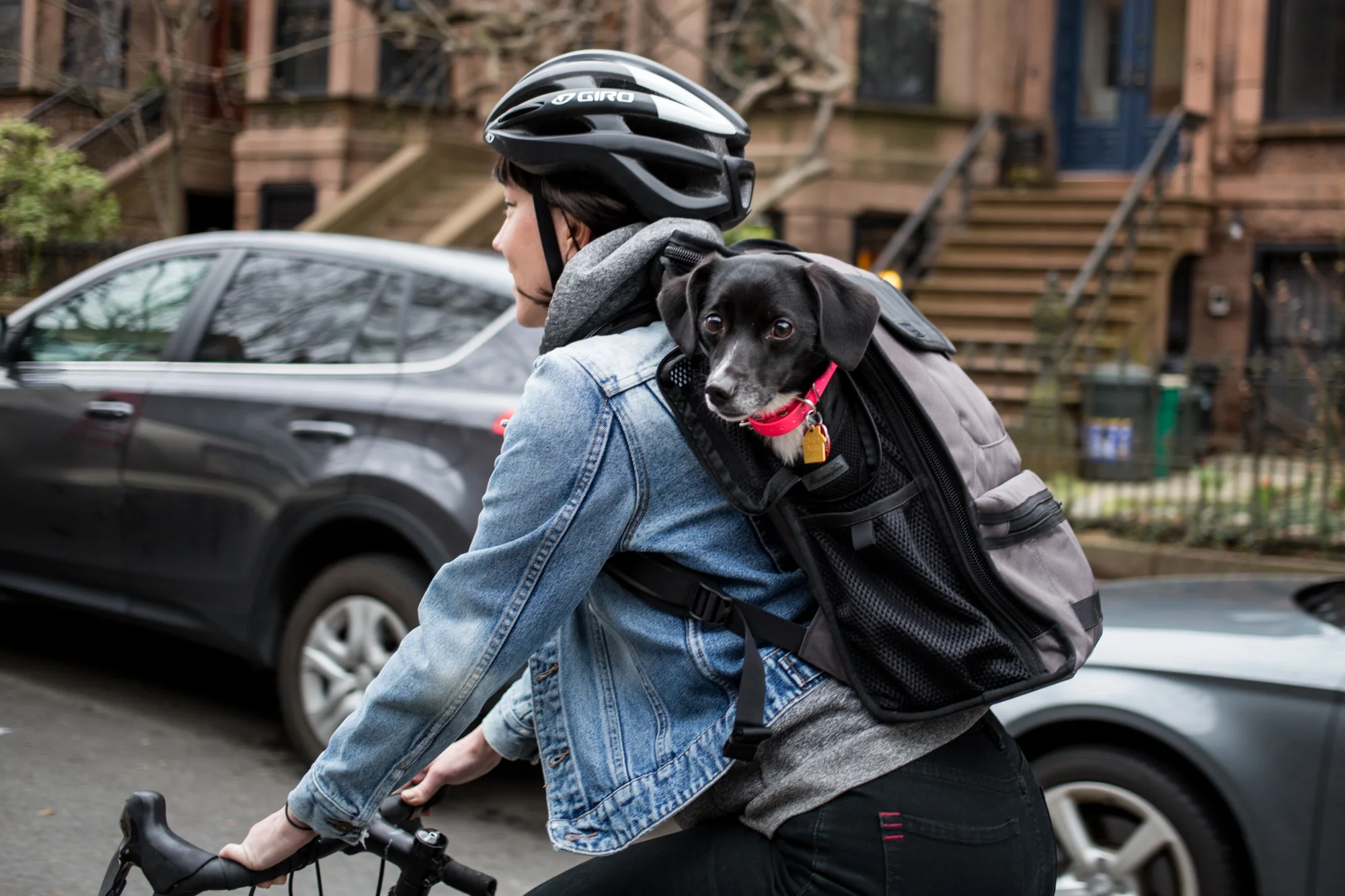 timbuk2 muttmover light backpack