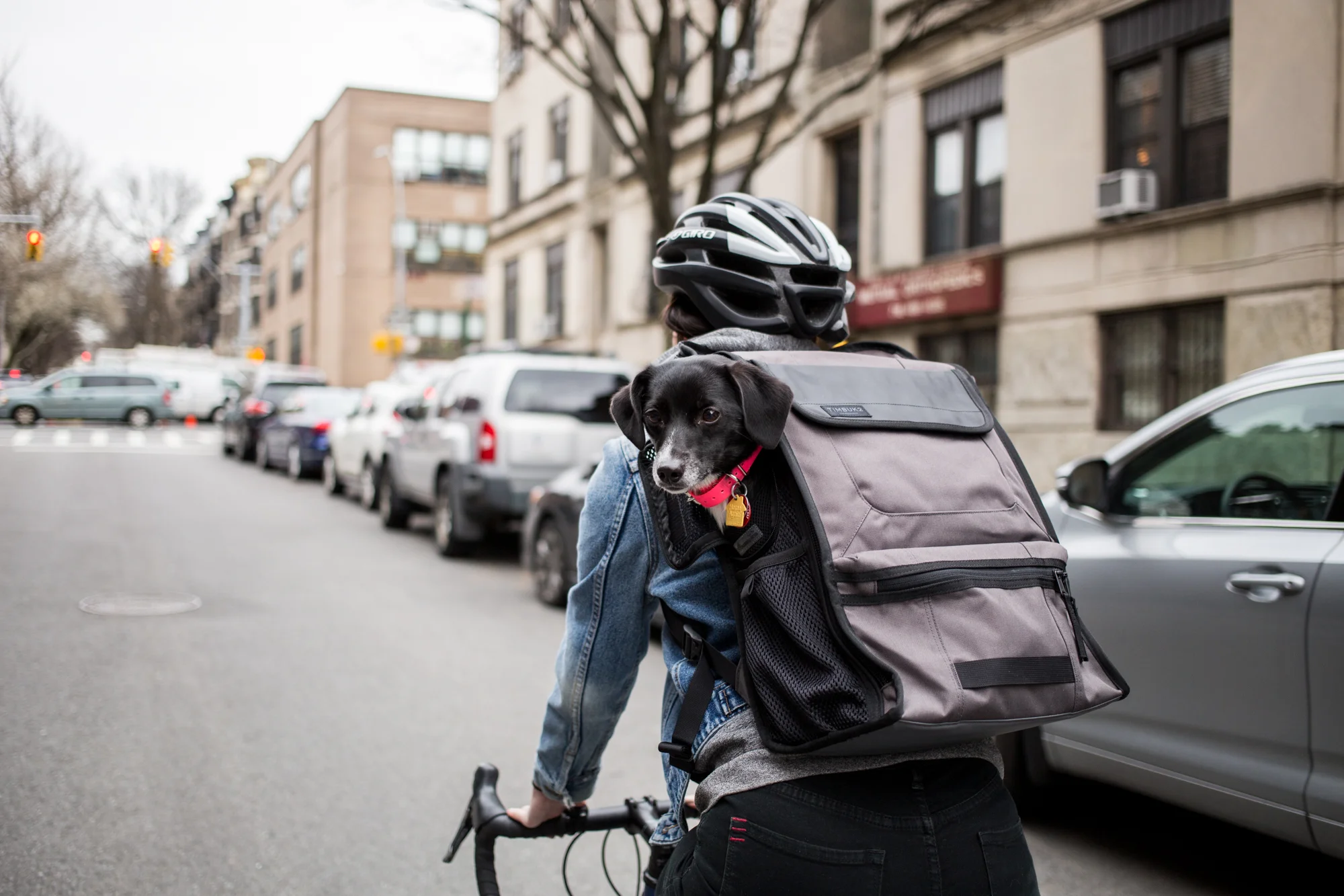 timbuk2 muttmover light backpack