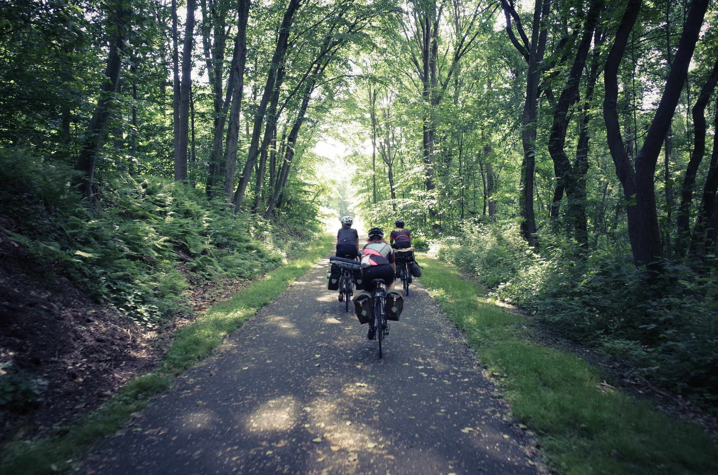 Cooling off in the shade of the South County Trail. Photo: Miki Marcinkiewicz