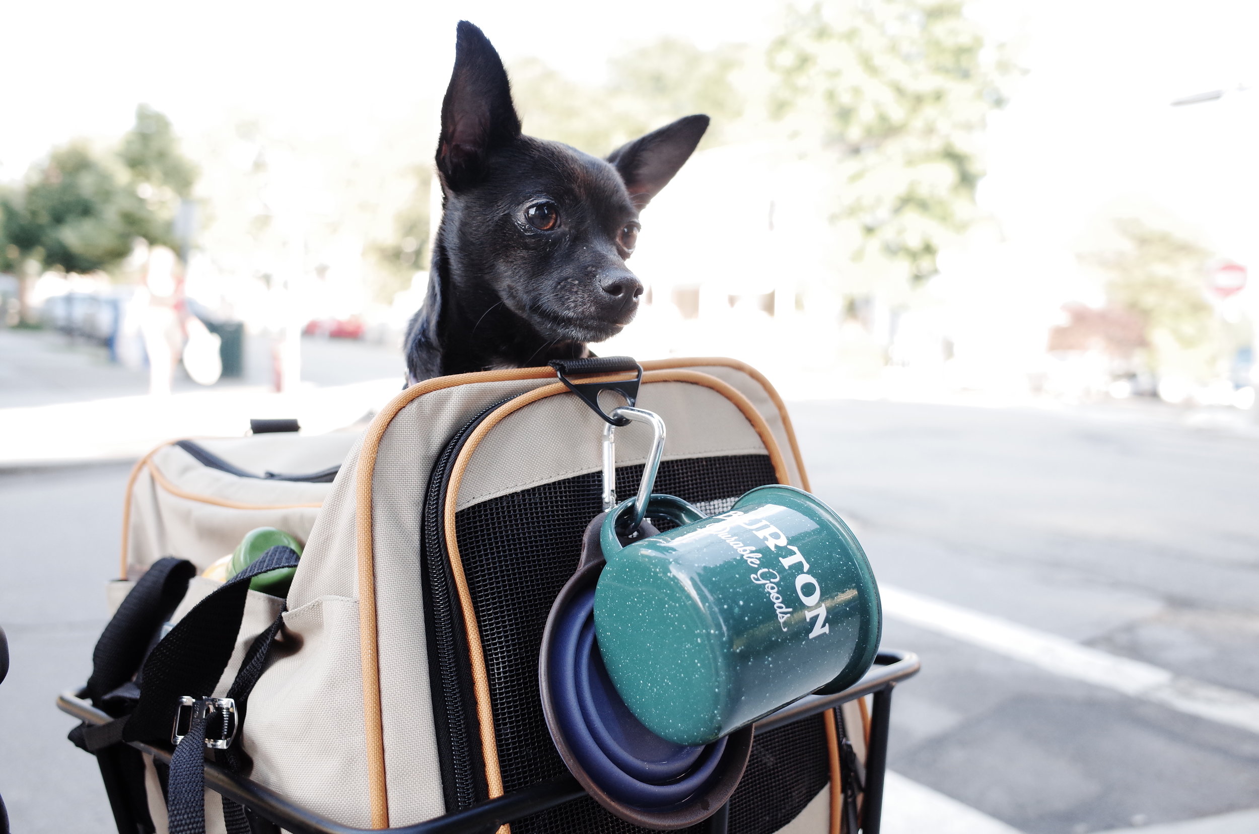 Everyone loves bike camping! Photo: Miki Marcinkiewicz
