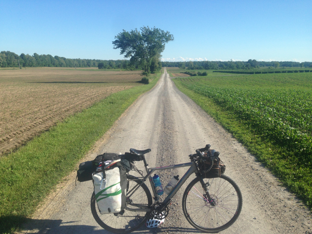Biking through strawberry fields while eating strawberries that were grown in said fields and sipping a local beer from my handlebar bag.