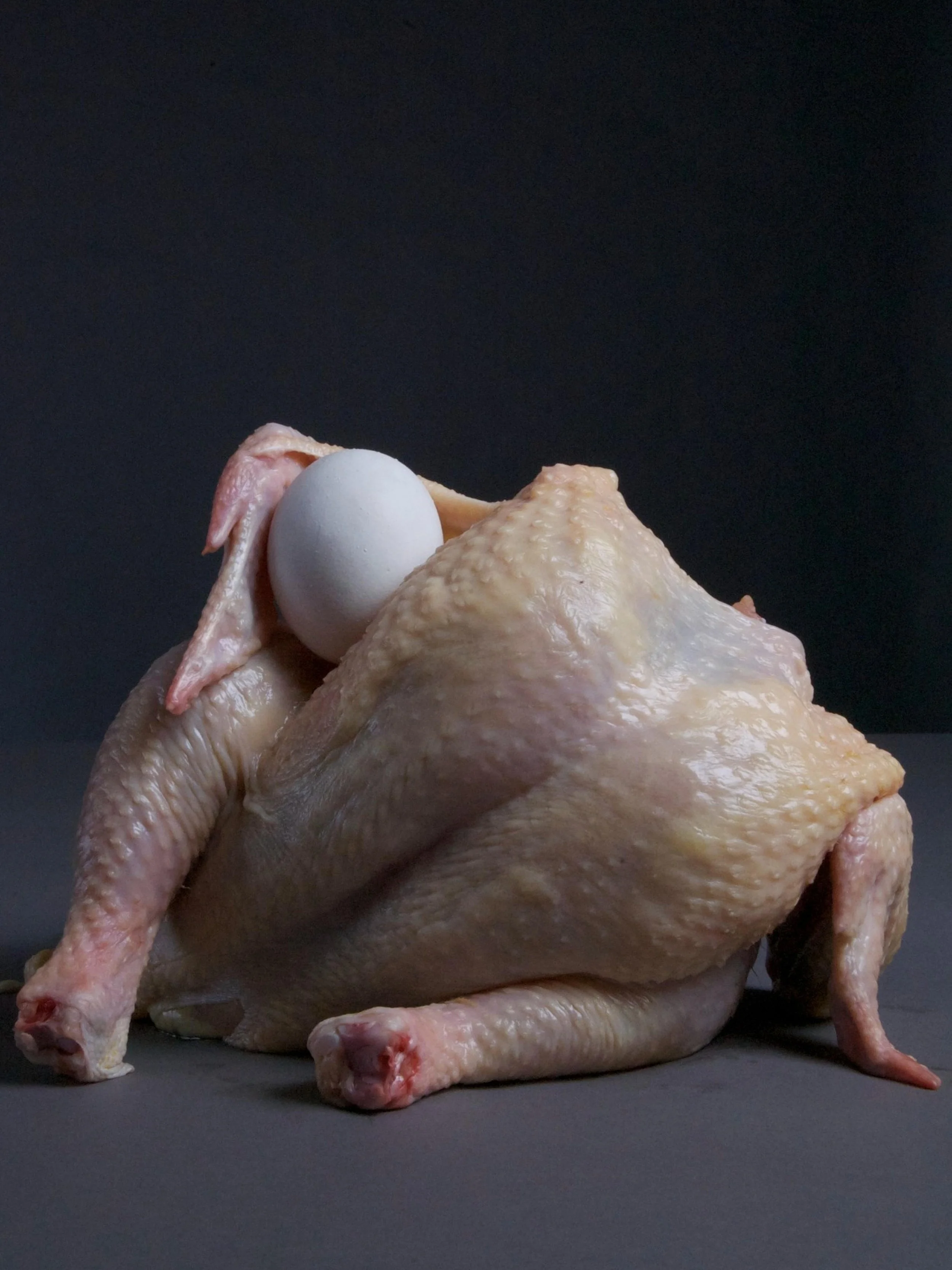 daryl_chickenEgg_12x16.jpg