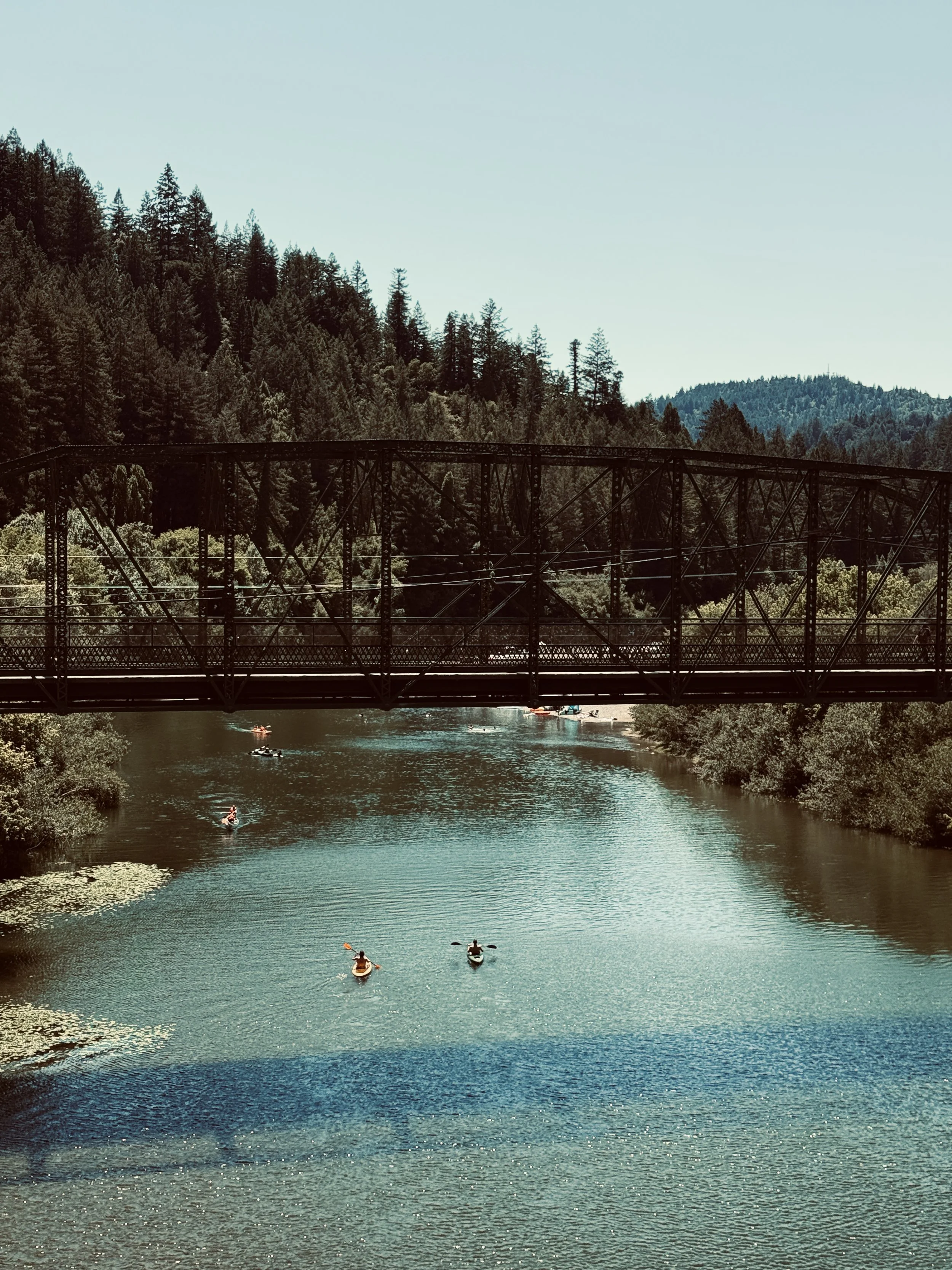 russianriversummer.JPG
